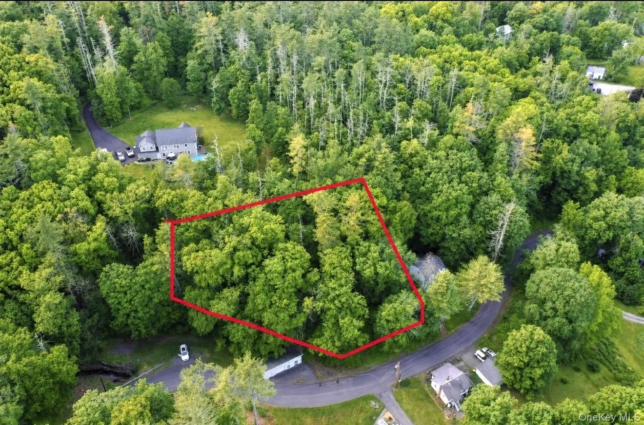 Wooded parcel featuring mature deciduous and evergreen trees, situated on a curved roadway Wooded parcel featuring mature deciduous and evergreen trees, situated on a curved roadway