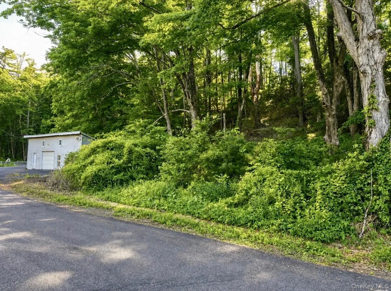 20 Wintergreen Hill Road, Kingston, NY, ,Land,For Rent,Wintergreen Hill,0,1017547 20 Wintergreen Hill Road, Kingston, NY, ,Land,For Rent,Wintergreen Hill,0,1017547