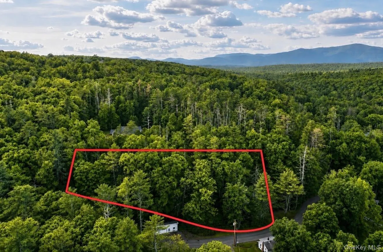 Wooded parcel featuring mature deciduous and evergreen trees, with a distant mountain range backdrop Wooded parcel featuring mature deciduous and evergreen trees, with a distant mountain range backdrop