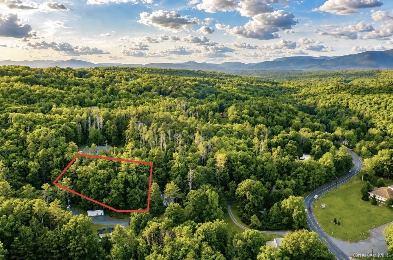 Wooded parcel outlined in red, featuring mature trees and a gently winding road in the foreground Wooded parcel outlined in red, featuring mature trees and a gently winding road in the foreground