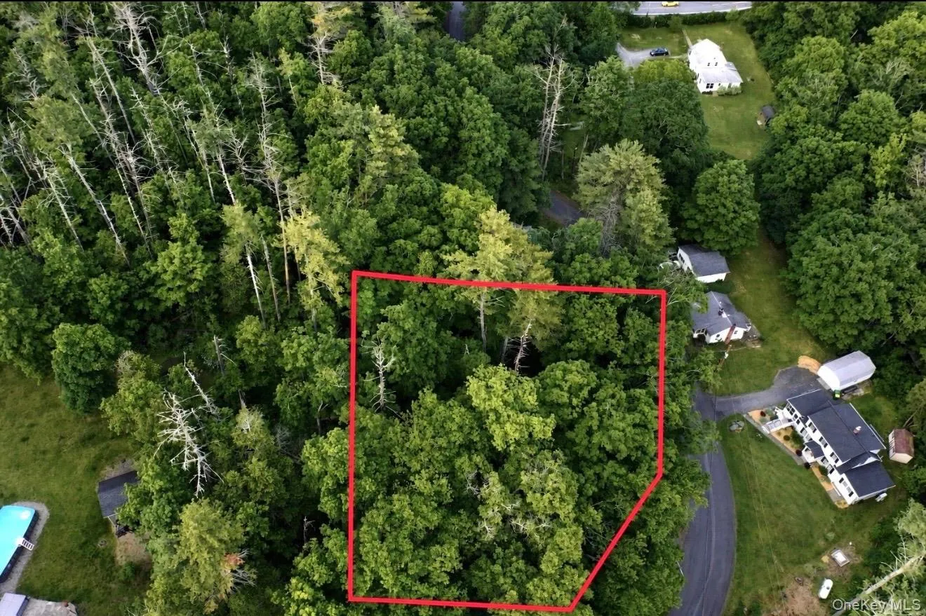 Wooded parcel outlined in red, featuring mature trees and established greenery Wooded parcel outlined in red, featuring mature trees and established greenery