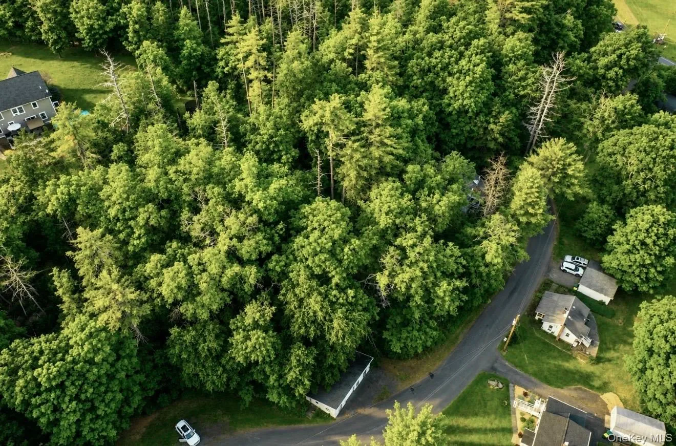 Expansive treed parcel featuring mature deciduous and coniferous trees, a paved residential road, and a single-story residential structure with a gray roof and light-colored siding Expansive treed parcel featuring mature deciduous and coniferous trees, a paved residential road, and a single-story residential structure with a gray roof and light-colored siding