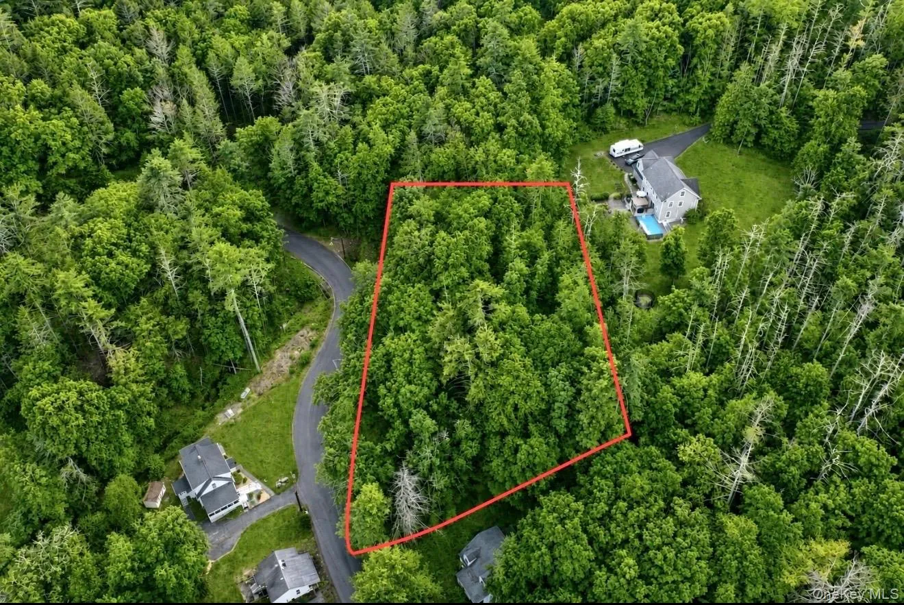 Heavily wooded lot featuring mature trees, a defined boundary, and proximity to a paved road Heavily wooded lot featuring mature trees, a defined boundary, and proximity to a paved road