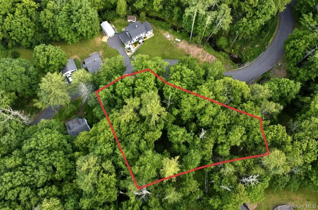 Wooded parcel outlined in red, featuring mature trees and a natural landscape Wooded parcel outlined in red, featuring mature trees and a natural landscape