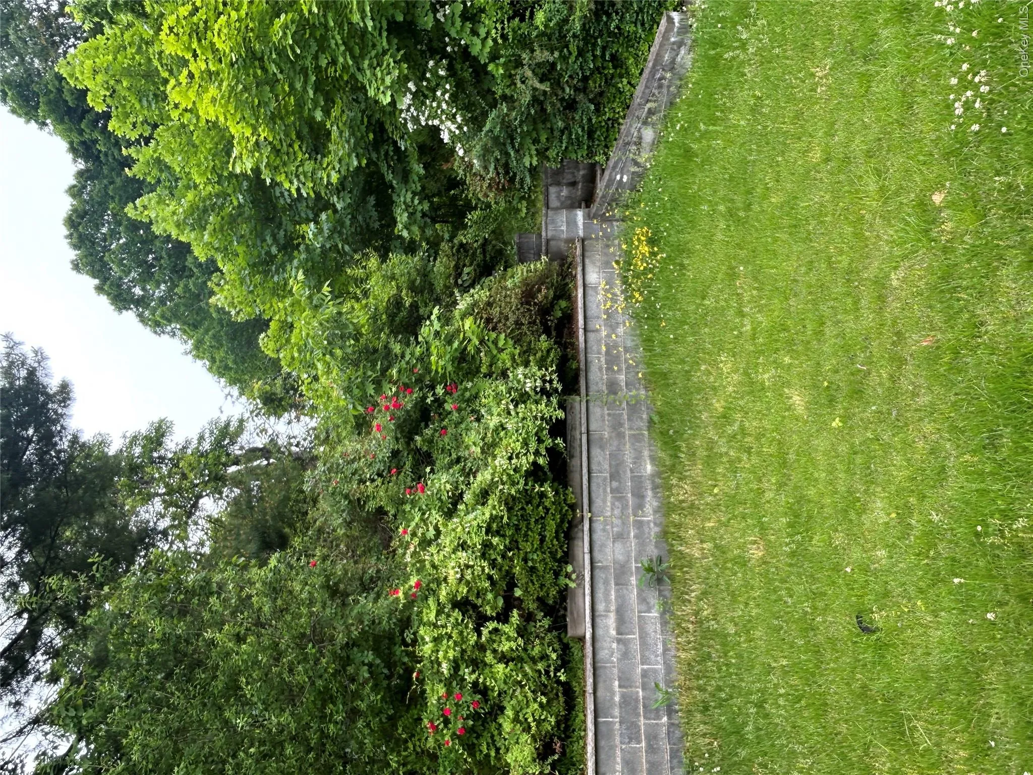 207 Morsemere Avenue, Yonkers, NY, 4 Bedrooms Bedrooms, 6 Rooms Rooms,2 BathroomsBathrooms,Residential,For Rent,Morsemere,0,1017565 207 Morsemere Avenue, Yonkers, NY, 4 Bedrooms Bedrooms, 6 Rooms Rooms,2 BathroomsBathrooms,Residential,For Rent,Morsemere,0,1017565