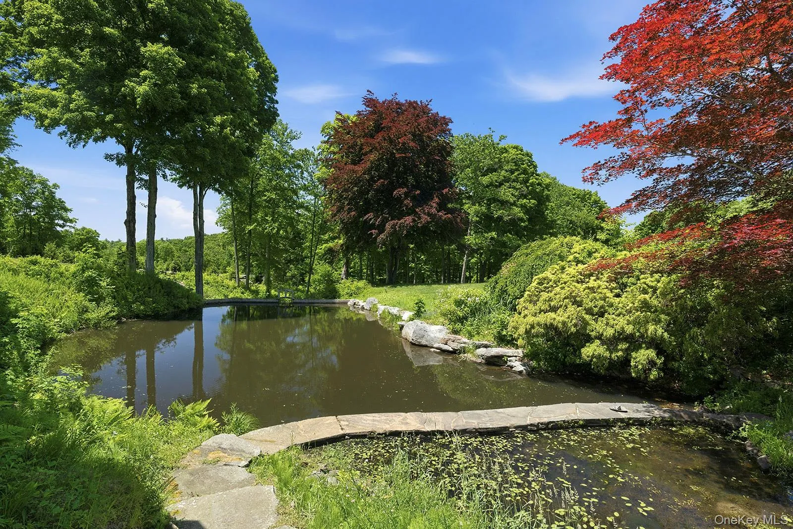 Stream fed swimming pond and waterfall Stream fed swimming pond and waterfall