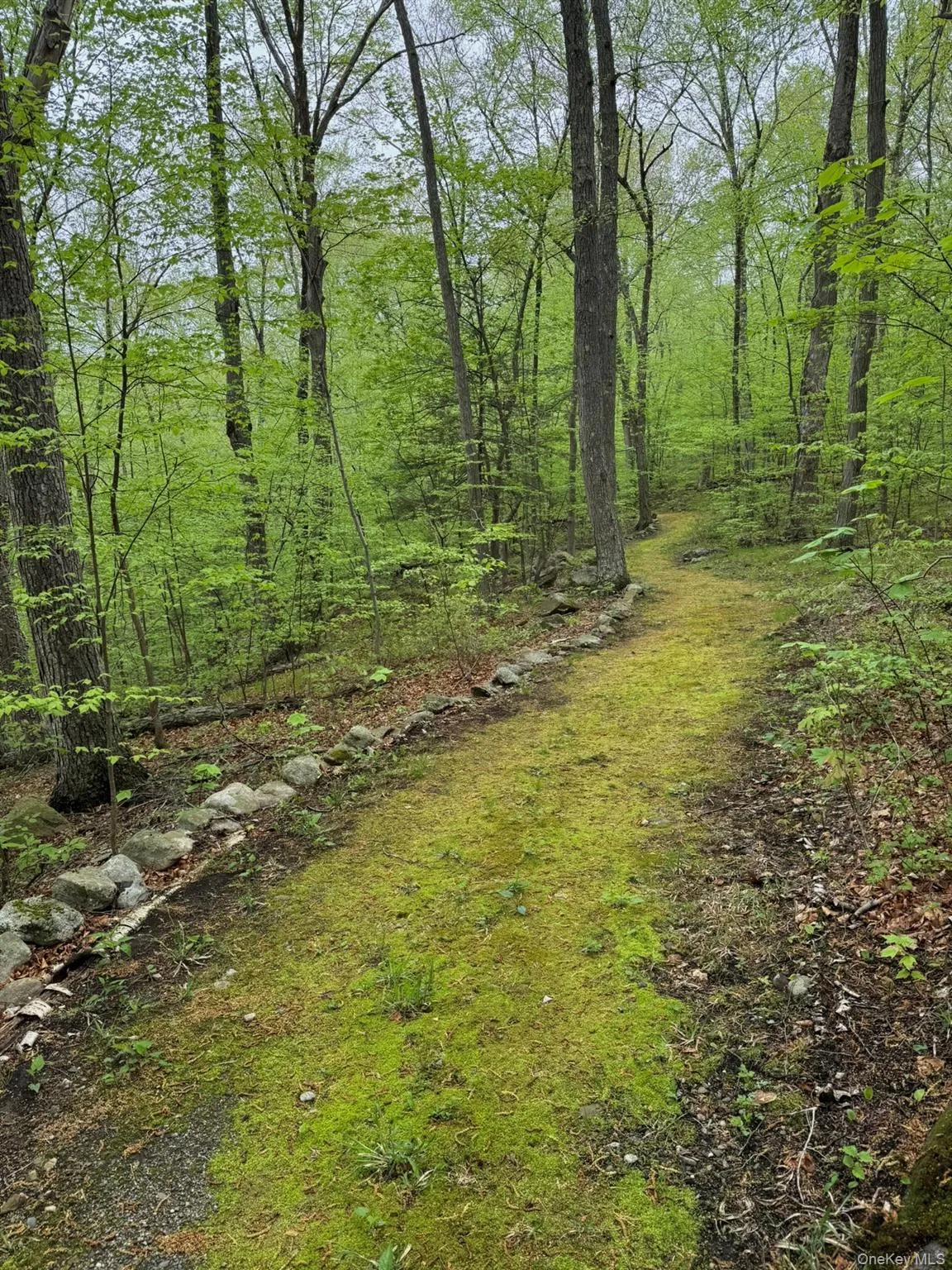 Over 2 miles of historic 80 year old heritage hiking trails lace the property Over 2 miles of historic 80 year old heritage hiking trails lace the property