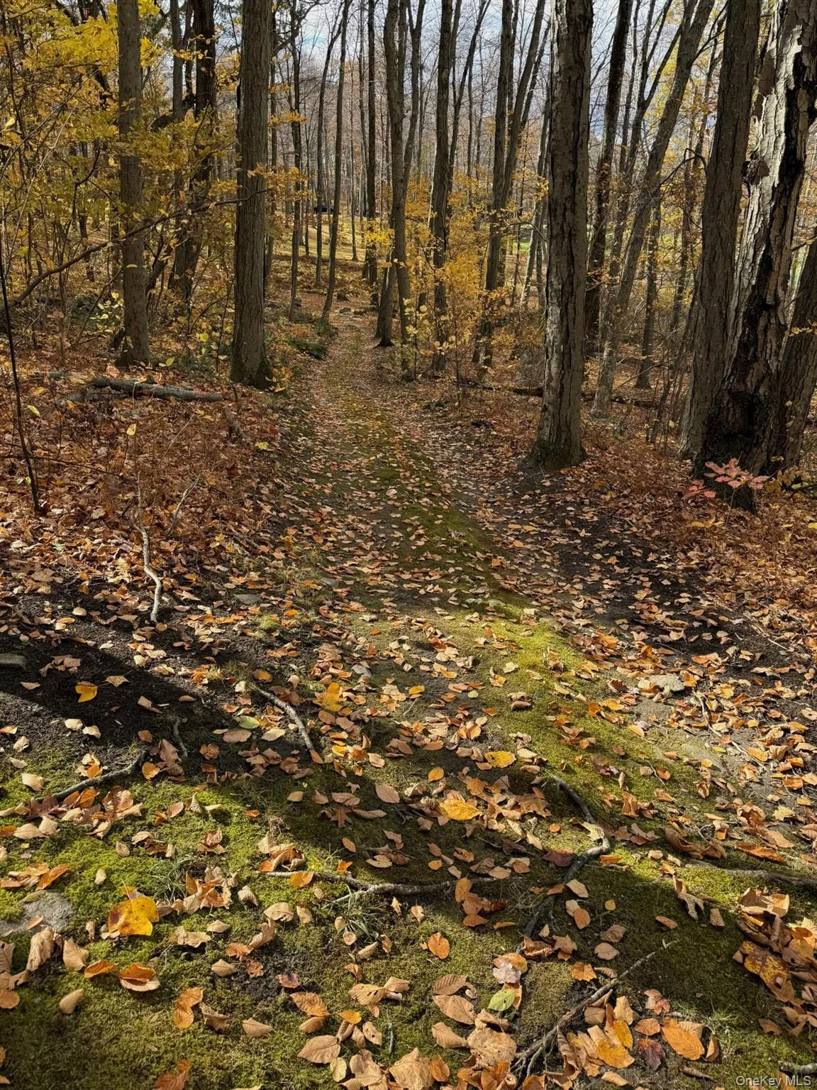 180 Dean Road, Kent, NY, 3 Bedrooms Bedrooms, 16 Rooms Rooms,3 BathroomsBathrooms,Residential,For Rent,Dean,0,1017601 180 Dean Road, Kent, NY, 3 Bedrooms Bedrooms, 16 Rooms Rooms,3 BathroomsBathrooms,Residential,For Rent,Dean,0,1017601