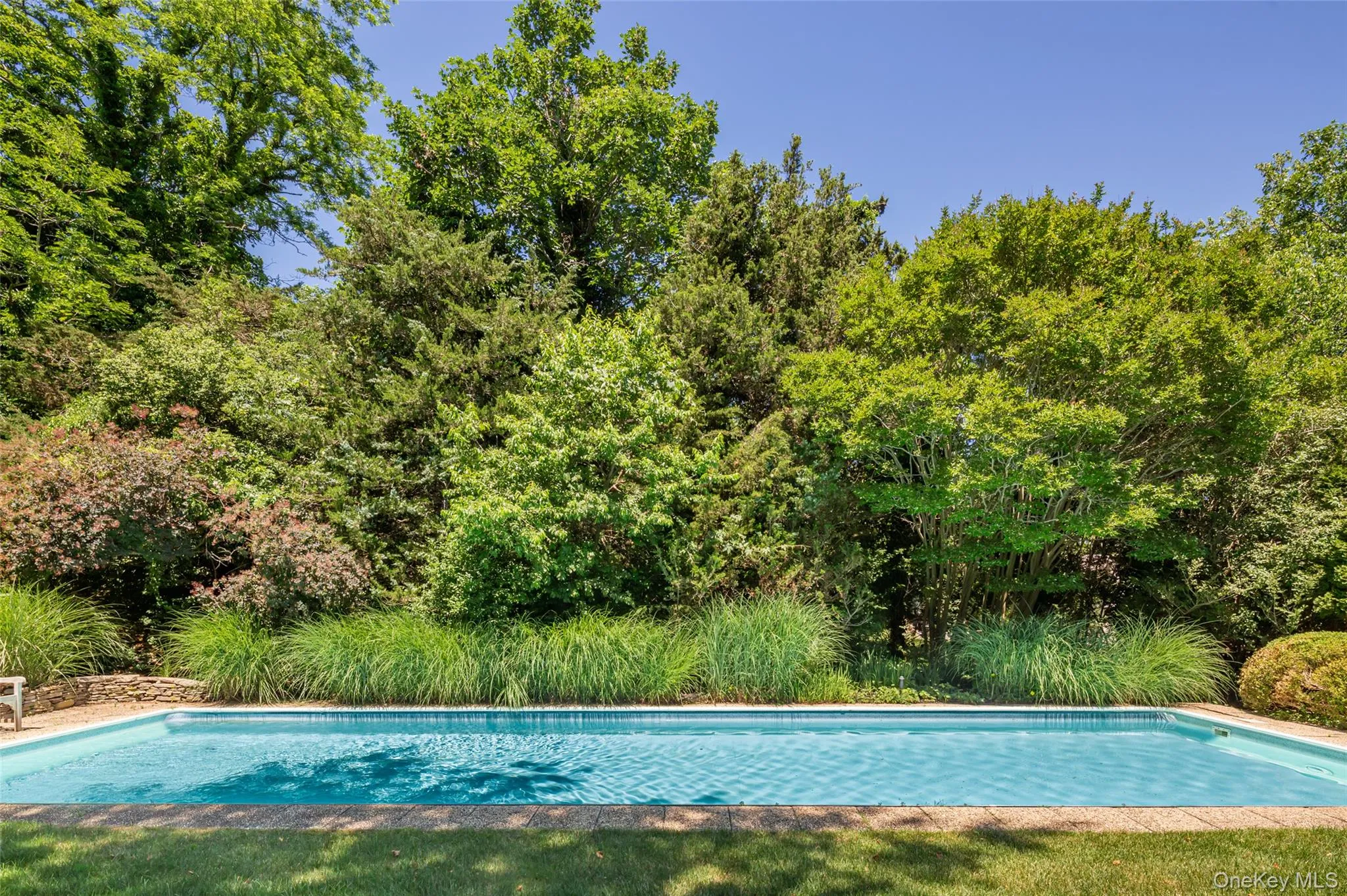 In-ground swimming pool with a stone coping border, surrounded by mature trees and lush landscaping In-ground swimming pool with a stone coping border, surrounded by mature trees and lush landscaping