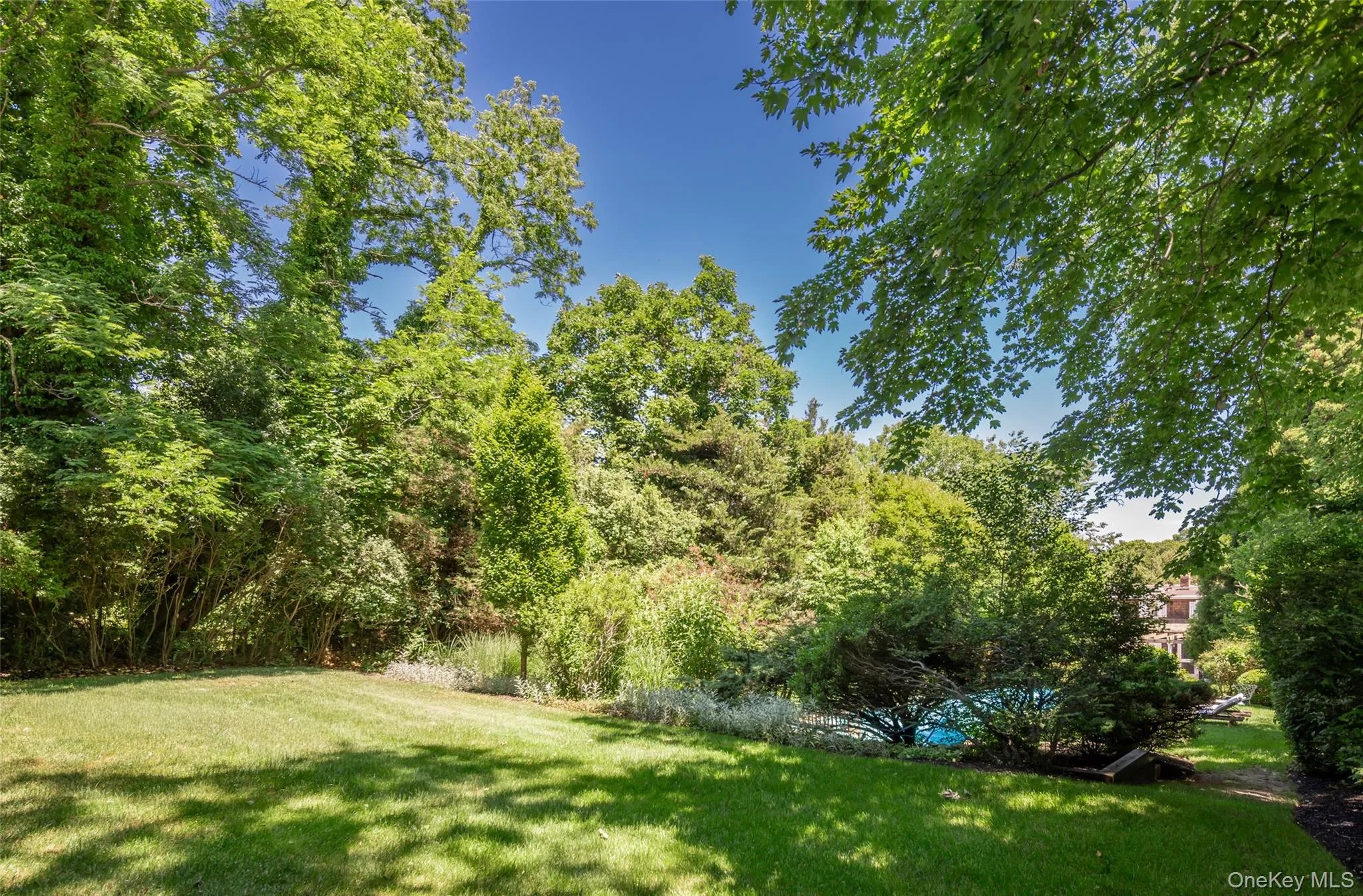 Expansive lawn area surrounded by mature trees and varied foliage Expansive lawn area surrounded by mature trees and varied foliage