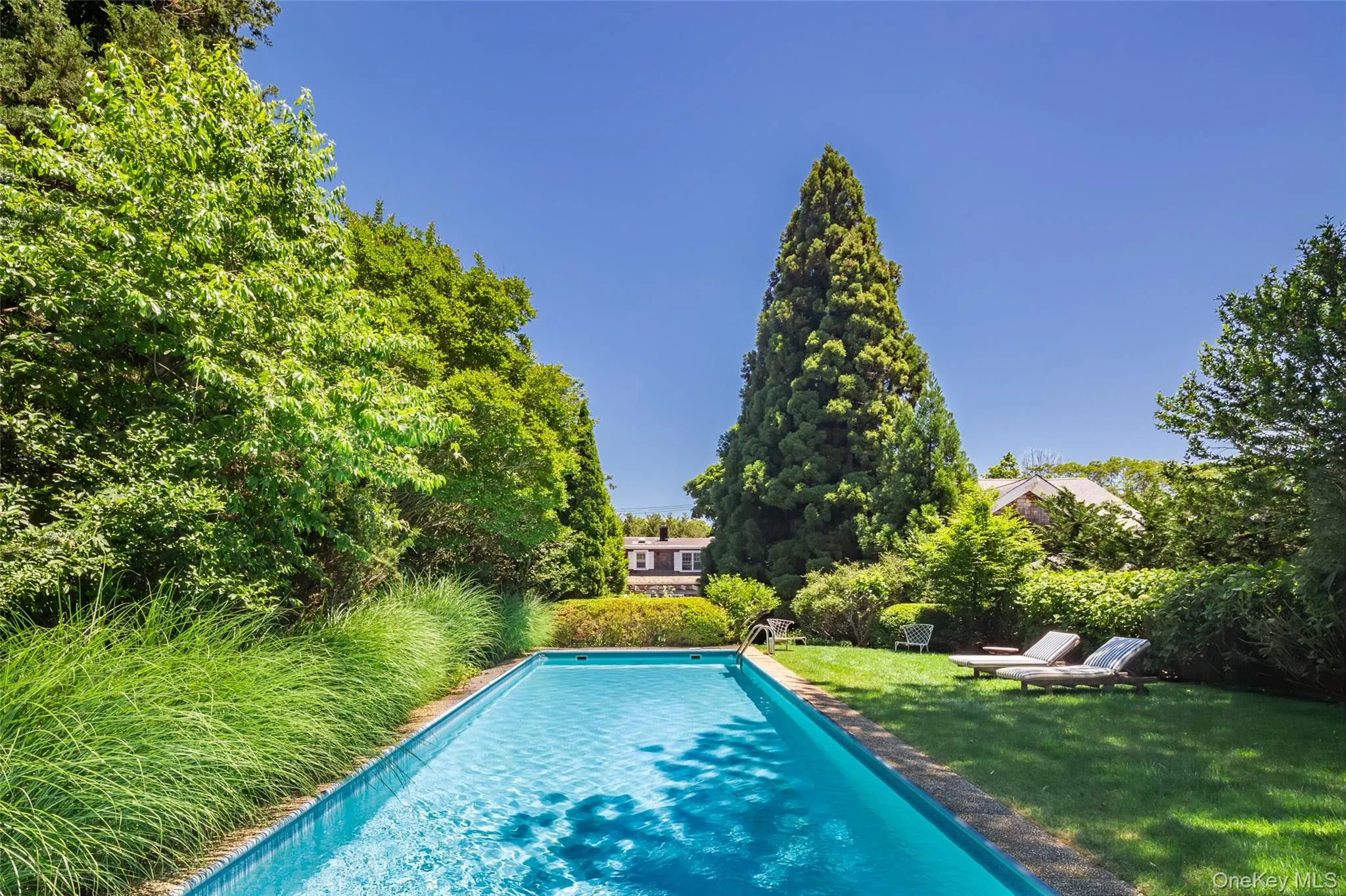 Rectangular swimming pool with a stone coping, surrounded by a lush green lawn and mature trees Rectangular swimming pool with a stone coping, surrounded by a lush green lawn and mature trees