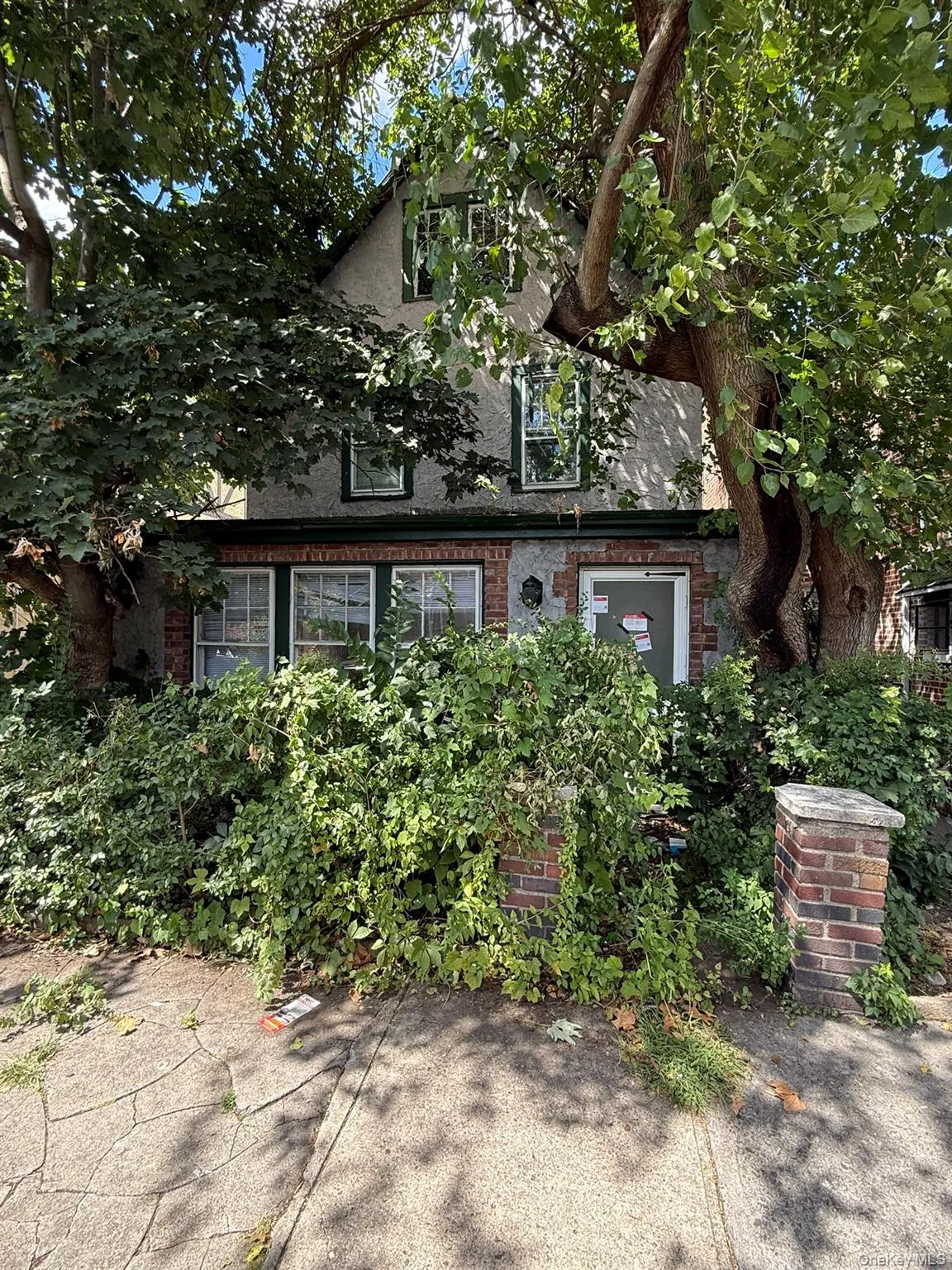 3447 Corlear Avenue, New York, NY, 3 Bedrooms Bedrooms, 6 Rooms Rooms,2 BathroomsBathrooms,Residential,For Rent,Corlear,0,1017626 3447 Corlear Avenue, New York, NY, 3 Bedrooms Bedrooms, 6 Rooms Rooms,2 BathroomsBathrooms,Residential,For Rent,Corlear,0,1017626
