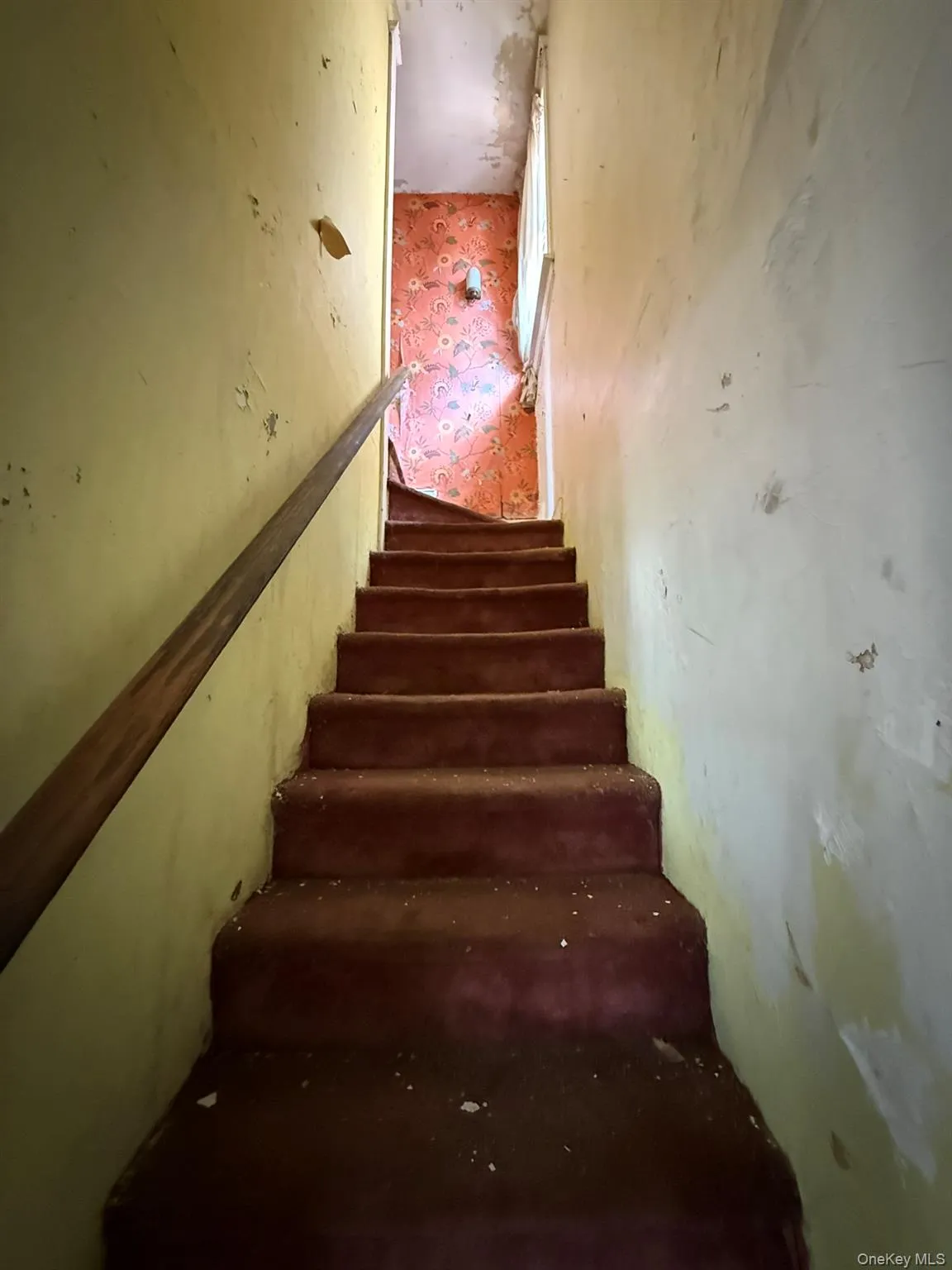 3447 Corlear Avenue, New York, NY, 3 Bedrooms Bedrooms, 6 Rooms Rooms,2 BathroomsBathrooms,Residential,For Rent,Corlear,0,1017626 3447 Corlear Avenue, New York, NY, 3 Bedrooms Bedrooms, 6 Rooms Rooms,2 BathroomsBathrooms,Residential,For Rent,Corlear,0,1017626