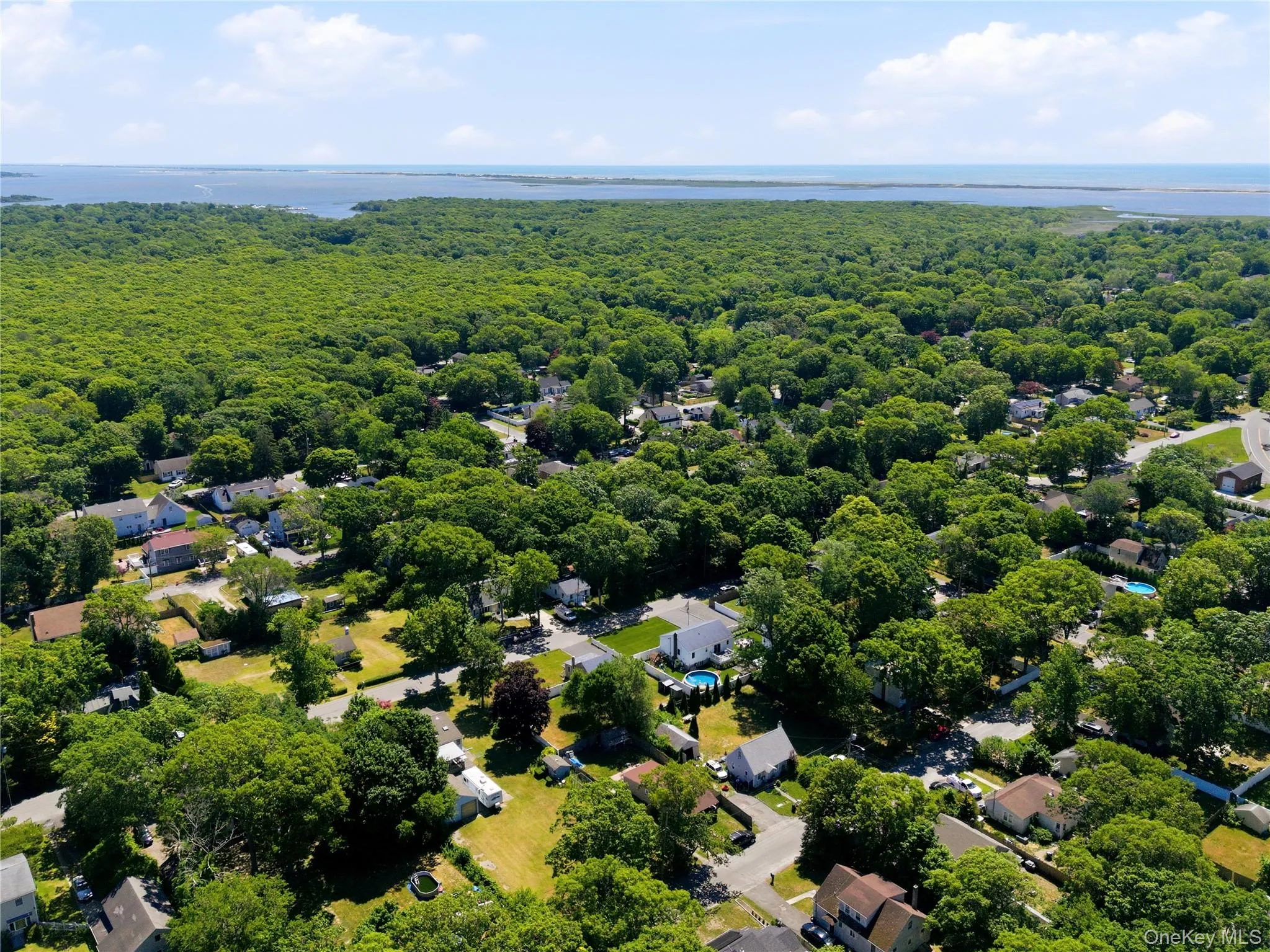 Aerial perspective showcasing a residential area with extensive tree canopy, distant water bodies, and visible residential structures Aerial perspective showcasing a residential area with extensive tree canopy, distant water bodies, and visible residential structures