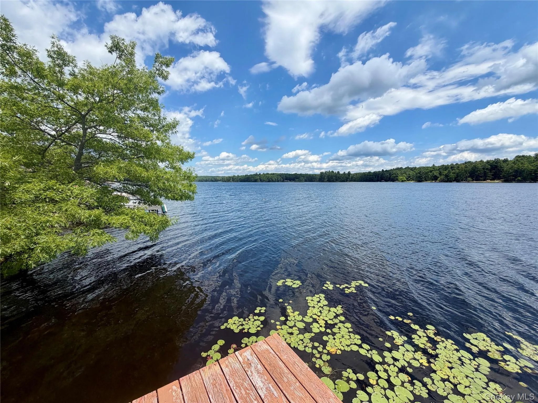90 Minisink Trail, Lumberland, NY, 3 Bedrooms Bedrooms, 5 Rooms Rooms,1 BathroomBathrooms,Residential,For Rent,Minisink,0,KEY1017653 90 Minisink Trail, Lumberland, NY, 3 Bedrooms Bedrooms, 5 Rooms Rooms,1 BathroomBathrooms,Residential,For Rent,Minisink,0,KEY1017653