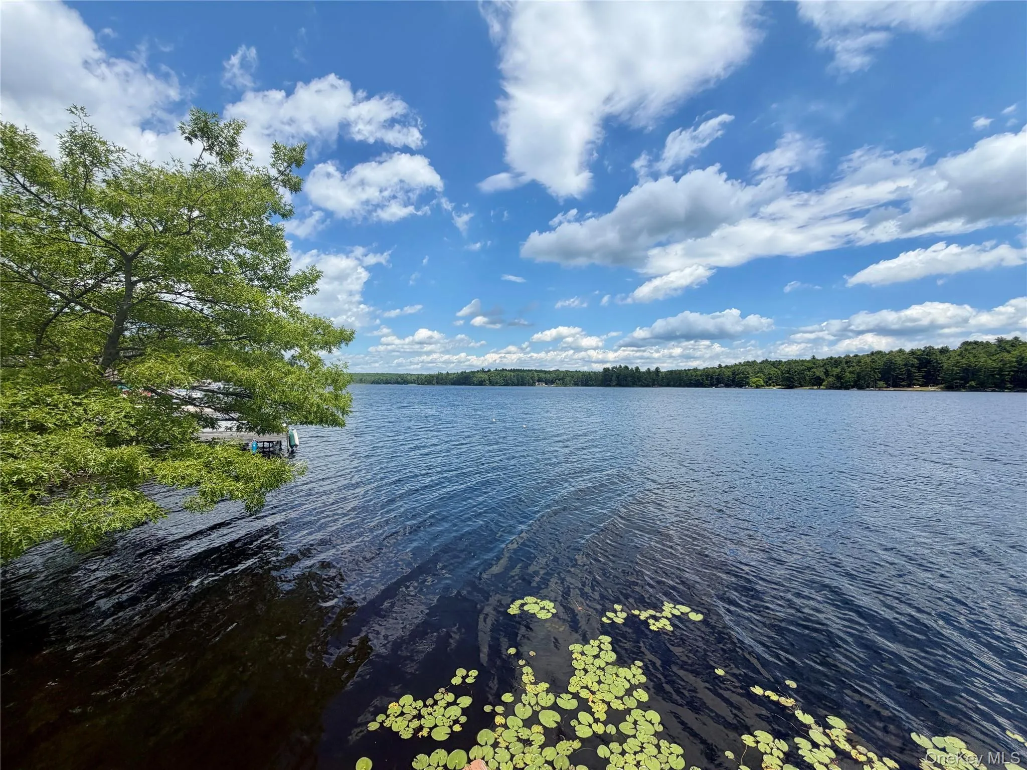 90 Minisink Trail, Lumberland, NY, 3 Bedrooms Bedrooms, 5 Rooms Rooms,1 BathroomBathrooms,Residential,For Rent,Minisink,0,KEY1017653 90 Minisink Trail, Lumberland, NY, 3 Bedrooms Bedrooms, 5 Rooms Rooms,1 BathroomBathrooms,Residential,For Rent,Minisink,0,KEY1017653