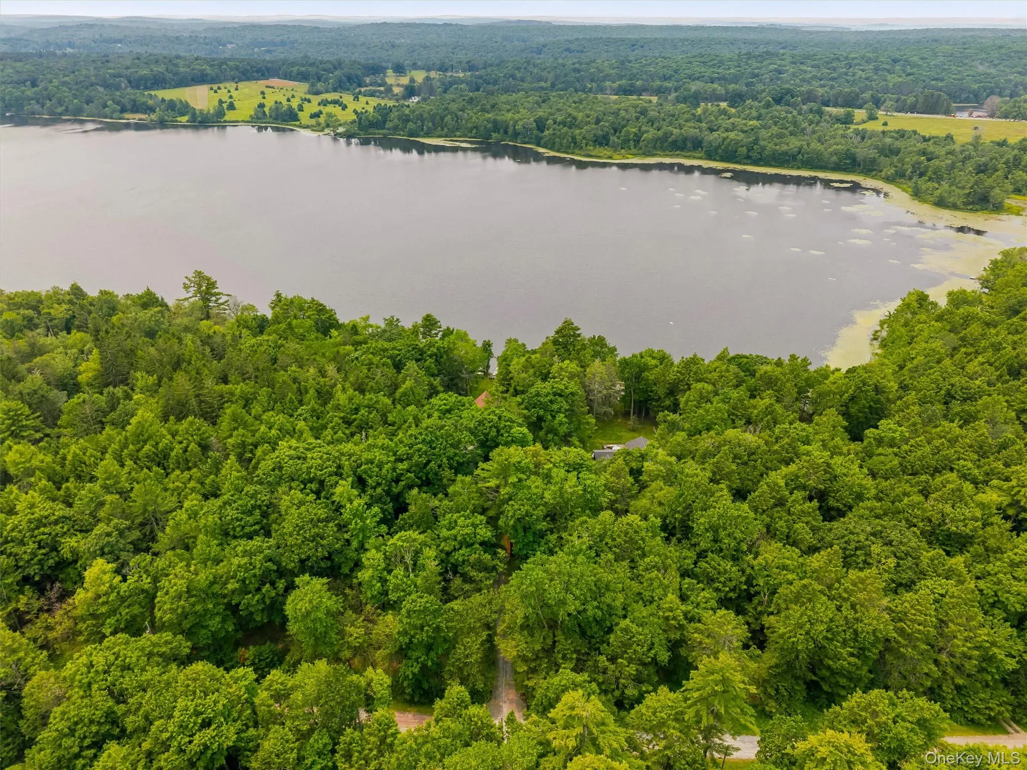 Blake Lake Blake Lake