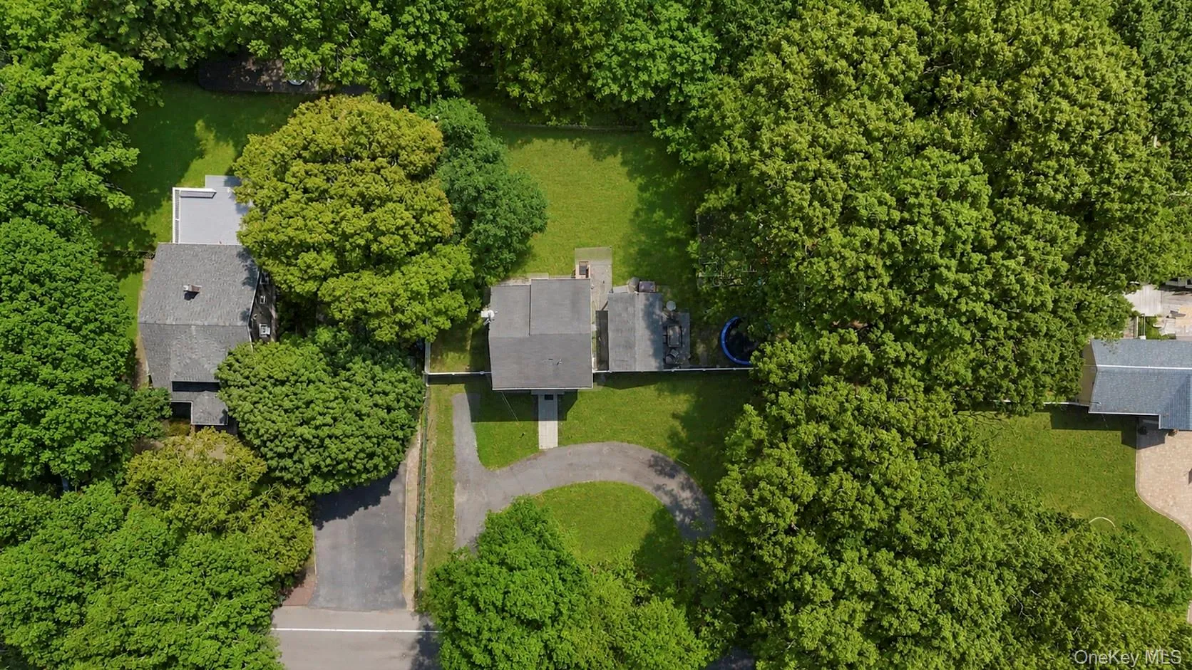 Expansive property with mature trees surrounding multiple structures Expansive property with mature trees surrounding multiple structures