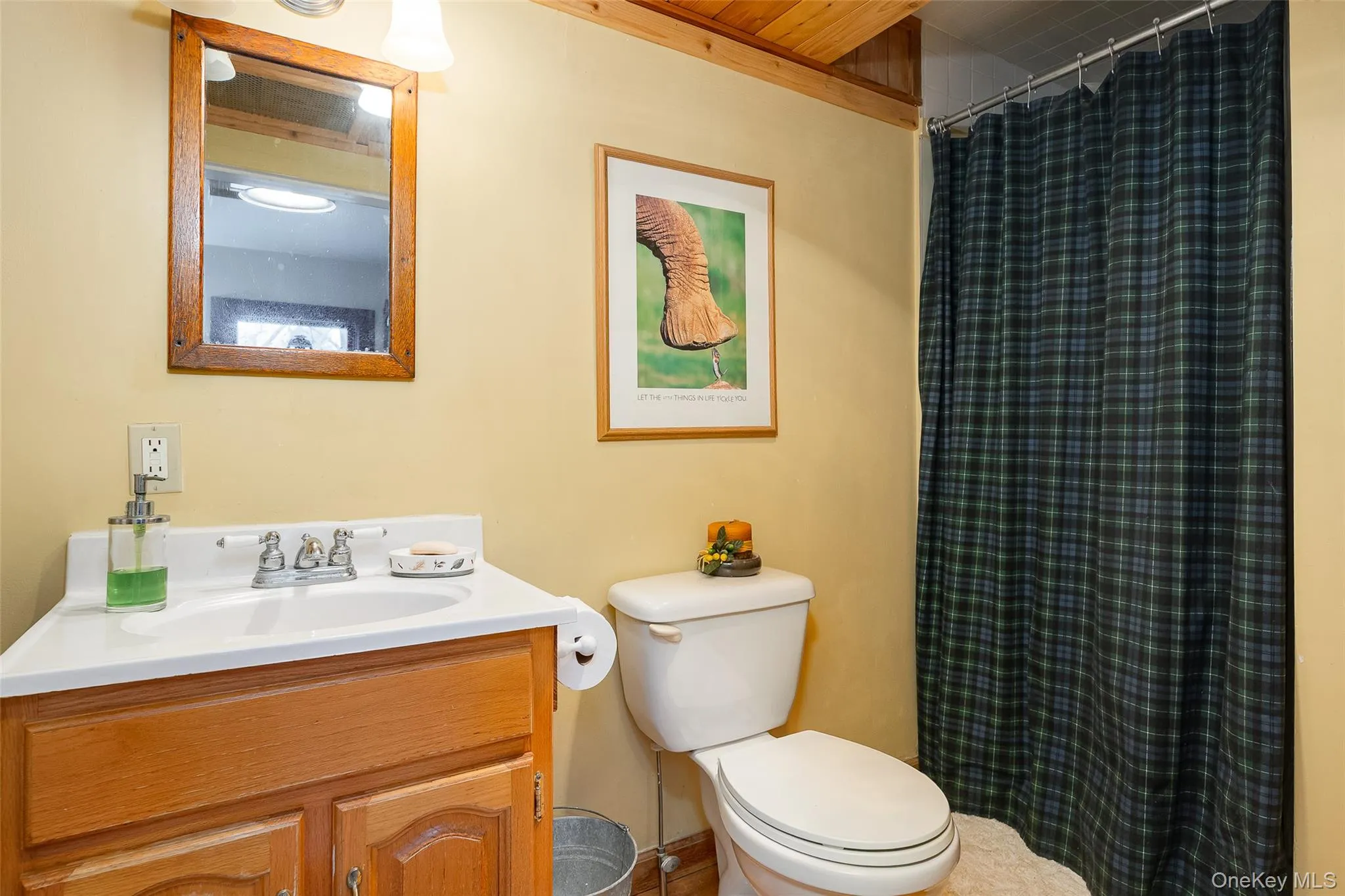 Full bath featuring a shower with curtain and vanity Full bath featuring a shower with curtain and vanity