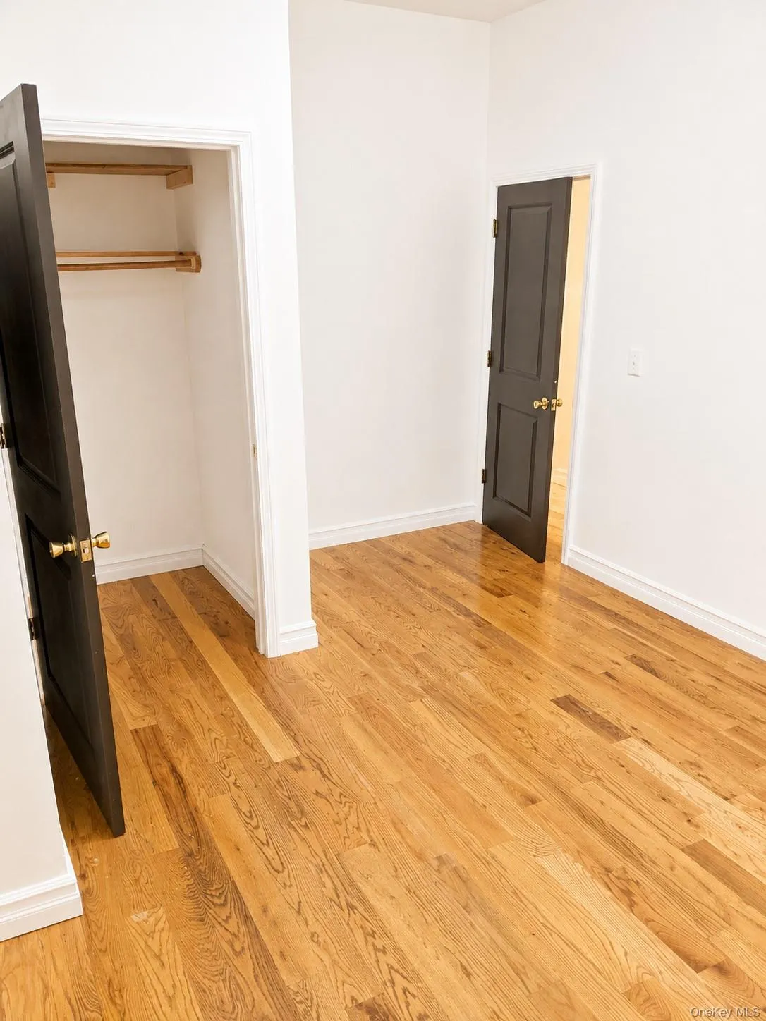 1351 Putnam Avenue, New York, NY, 3 Bedrooms Bedrooms, 5 Rooms Rooms,1 BathroomBathrooms,Residential Lease,For Rent,Putnam,0,1017666 1351 Putnam Avenue, New York, NY, 3 Bedrooms Bedrooms, 5 Rooms Rooms,1 BathroomBathrooms,Residential Lease,For Rent,Putnam,0,1017666