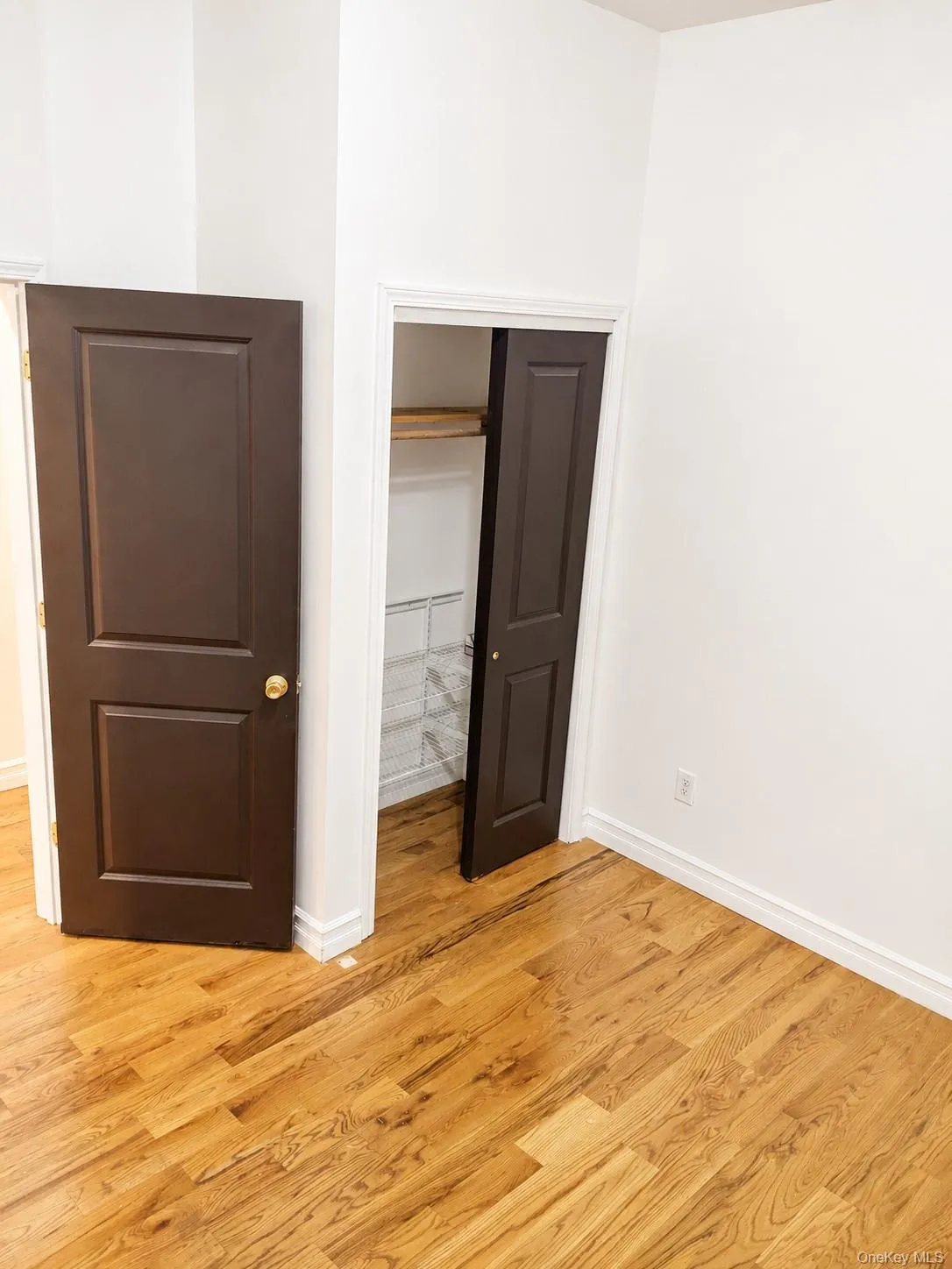 1351 Putnam Avenue, New York, NY, 3 Bedrooms Bedrooms, 5 Rooms Rooms,1 BathroomBathrooms,Residential Lease,For Rent,Putnam,0,1017666 1351 Putnam Avenue, New York, NY, 3 Bedrooms Bedrooms, 5 Rooms Rooms,1 BathroomBathrooms,Residential Lease,For Rent,Putnam,0,1017666