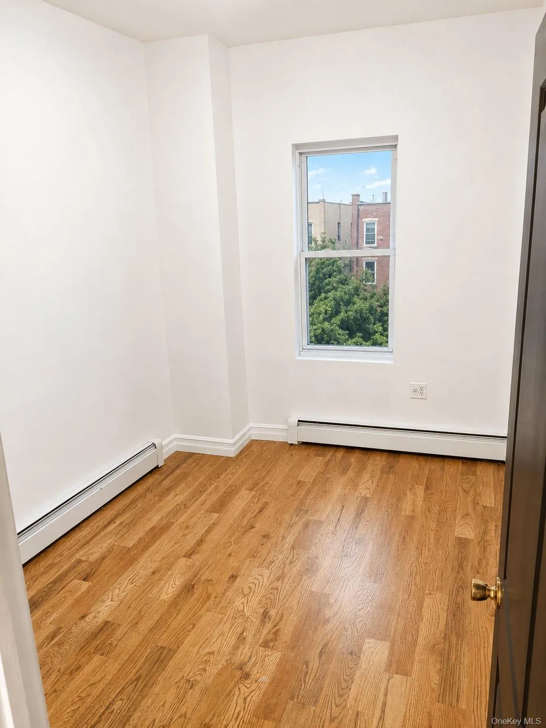 1351 Putnam Avenue, New York, NY, 3 Bedrooms Bedrooms, 5 Rooms Rooms,1 BathroomBathrooms,Residential Lease,For Rent,Putnam,0,1017666 1351 Putnam Avenue, New York, NY, 3 Bedrooms Bedrooms, 5 Rooms Rooms,1 BathroomBathrooms,Residential Lease,For Rent,Putnam,0,1017666