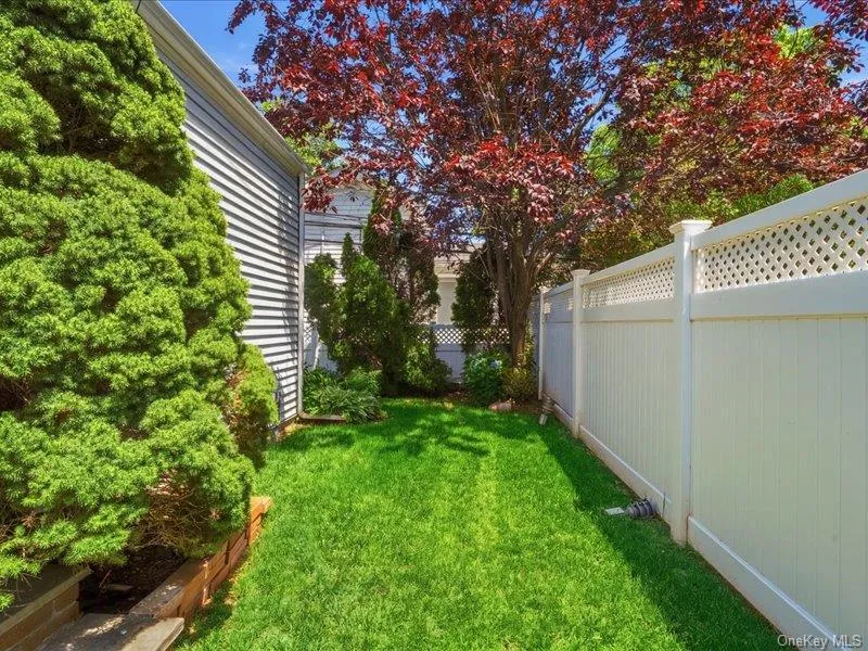 Backyard Backyard