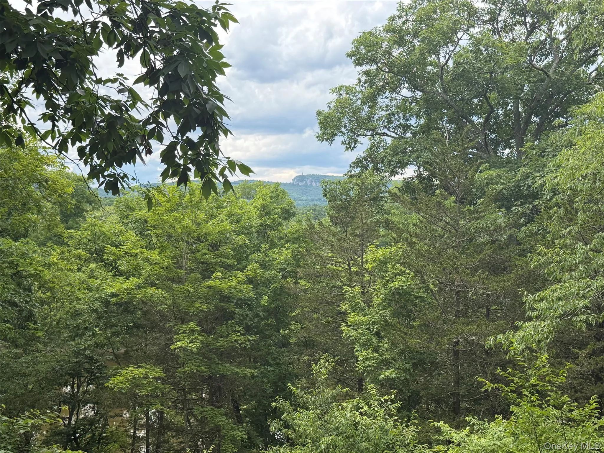 137 Plains Road, New Paltz, NY, ,Land,For Rent,Plains,0,1017758 137 Plains Road, New Paltz, NY, ,Land,For Rent,Plains,0,1017758