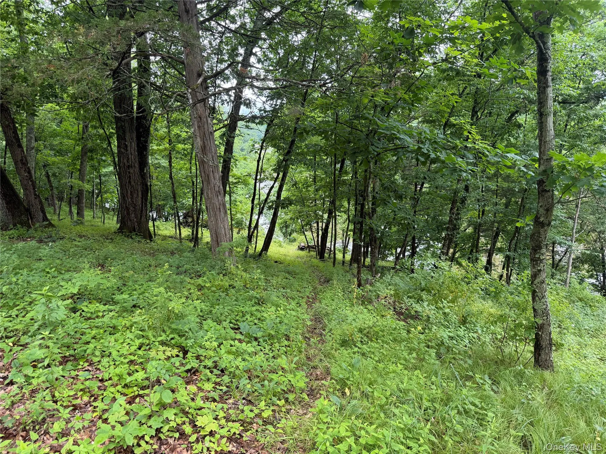 137 Plains Road, New Paltz, NY, ,Land,For Rent,Plains,0,1017758 137 Plains Road, New Paltz, NY, ,Land,For Rent,Plains,0,1017758