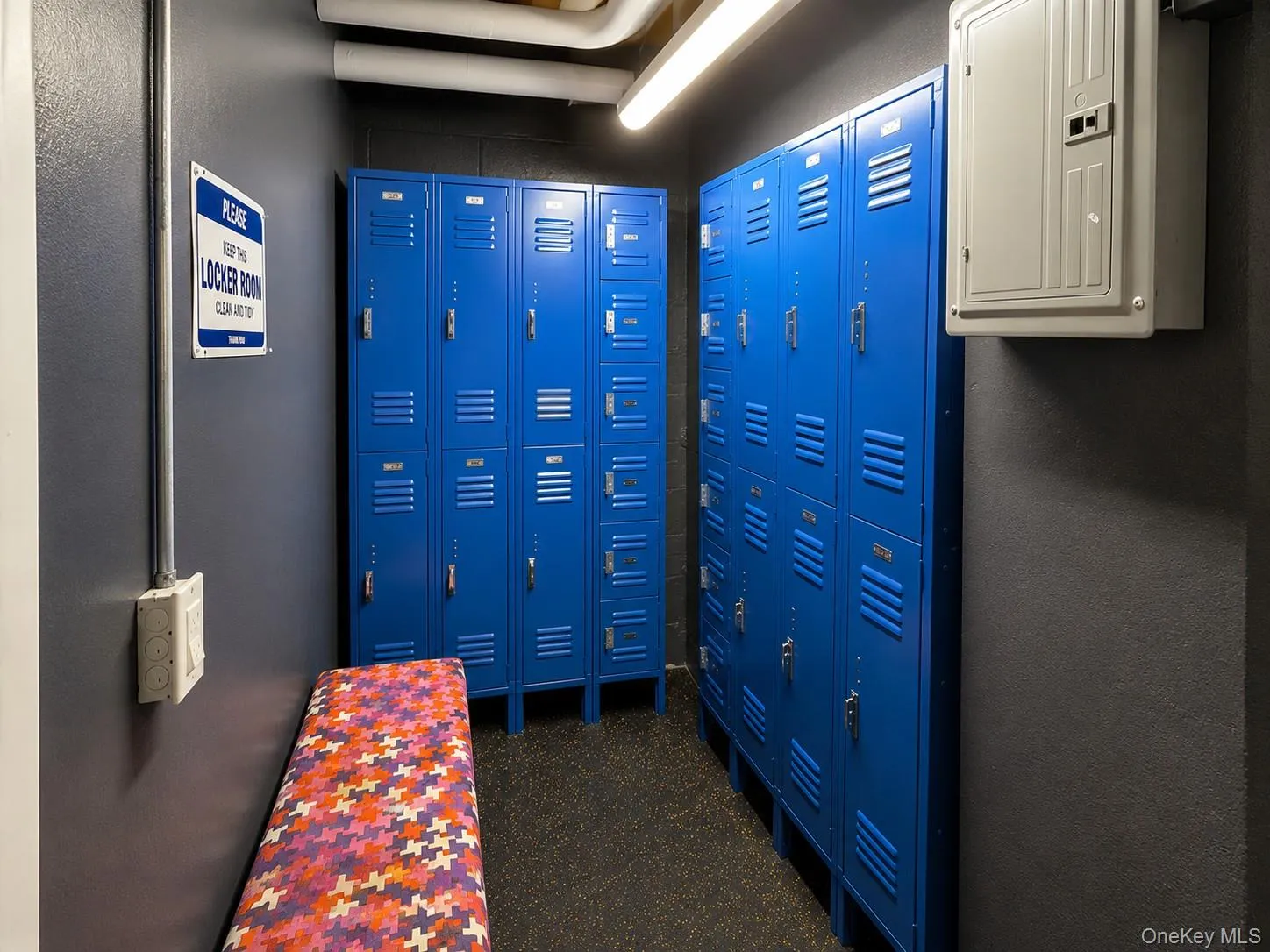 9905 63rd Drive, New York, NY, 2 Bedrooms Bedrooms, 5 Rooms Rooms,1 BathroomBathrooms,Residential,For Rent,63rd,0,1017764 9905 63rd Drive, New York, NY, 2 Bedrooms Bedrooms, 5 Rooms Rooms,1 BathroomBathrooms,Residential,For Rent,63rd,0,1017764