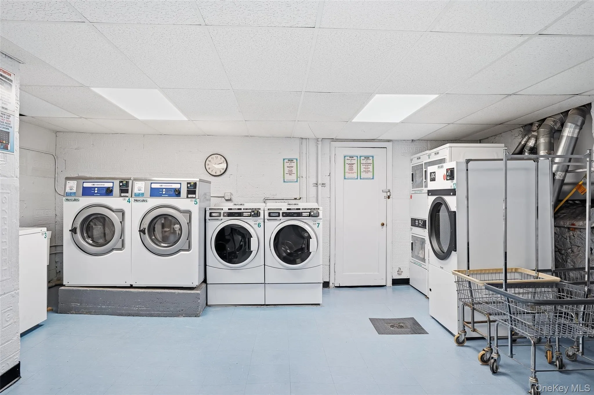 20 William Street, Mount Vernon, NY, 1 Bedroom Bedrooms, 3 Rooms Rooms,1 BathroomBathrooms,Residential,For Rent,William,0,1017788 20 William Street, Mount Vernon, NY, 1 Bedroom Bedrooms, 3 Rooms Rooms,1 BathroomBathrooms,Residential,For Rent,William,0,1017788
