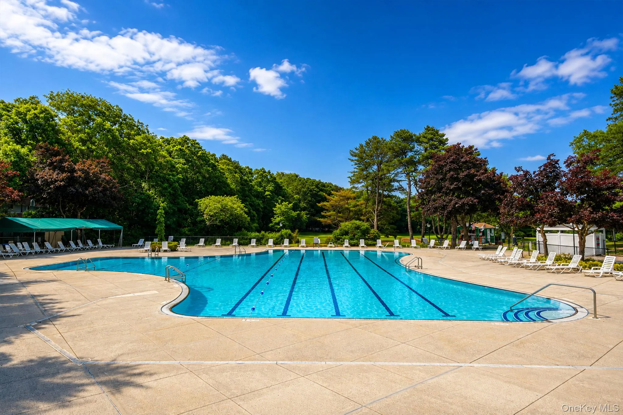 577 Blue Ridge Drive, Brookhaven, NY, 3 Bedrooms Bedrooms, 8 Rooms Rooms,1 BathroomBathrooms,Residential,For Rent,Blue Ridge,0,KEY1017791 577 Blue Ridge Drive, Brookhaven, NY, 3 Bedrooms Bedrooms, 8 Rooms Rooms,1 BathroomBathrooms,Residential,For Rent,Blue Ridge,0,KEY1017791