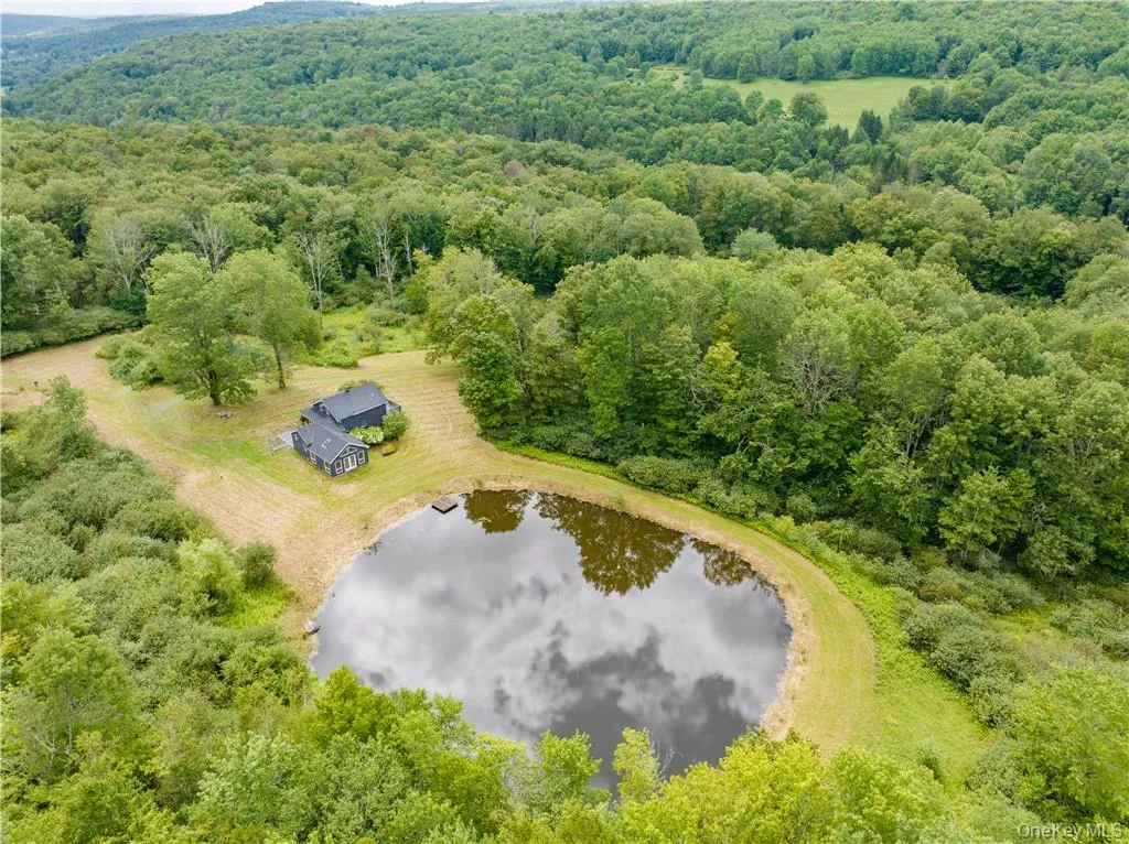 1667 Shandelee Road, Callicoon, NY, 3 Bedrooms Bedrooms, 10 Rooms Rooms,2 BathroomsBathrooms,Residential Lease,For Rent,Shandelee,0,KEY1017792 1667 Shandelee Road, Callicoon, NY, 3 Bedrooms Bedrooms, 10 Rooms Rooms,2 BathroomsBathrooms,Residential Lease,For Rent,Shandelee,0,KEY1017792