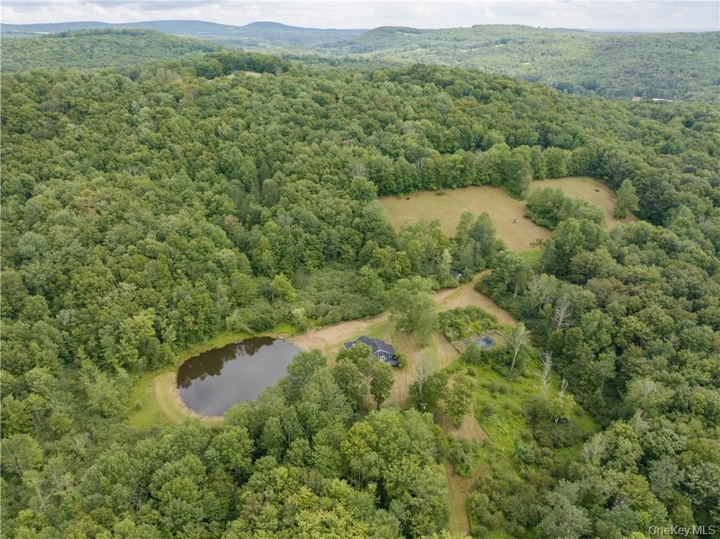 1667 Shandelee Road, Callicoon, NY, 3 Bedrooms Bedrooms, 10 Rooms Rooms,2 BathroomsBathrooms,Residential Lease,For Rent,Shandelee,0,KEY1017792 1667 Shandelee Road, Callicoon, NY, 3 Bedrooms Bedrooms, 10 Rooms Rooms,2 BathroomsBathrooms,Residential Lease,For Rent,Shandelee,0,KEY1017792