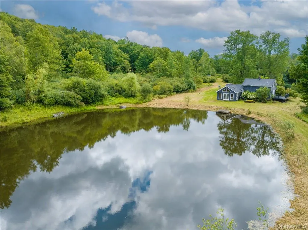 1667 Shandelee Road, Callicoon, NY, 3 Bedrooms Bedrooms, 10 Rooms Rooms,2 BathroomsBathrooms,Residential Lease,For Rent,Shandelee,0,KEY1017792 1667 Shandelee Road, Callicoon, NY, 3 Bedrooms Bedrooms, 10 Rooms Rooms,2 BathroomsBathrooms,Residential Lease,For Rent,Shandelee,0,KEY1017792