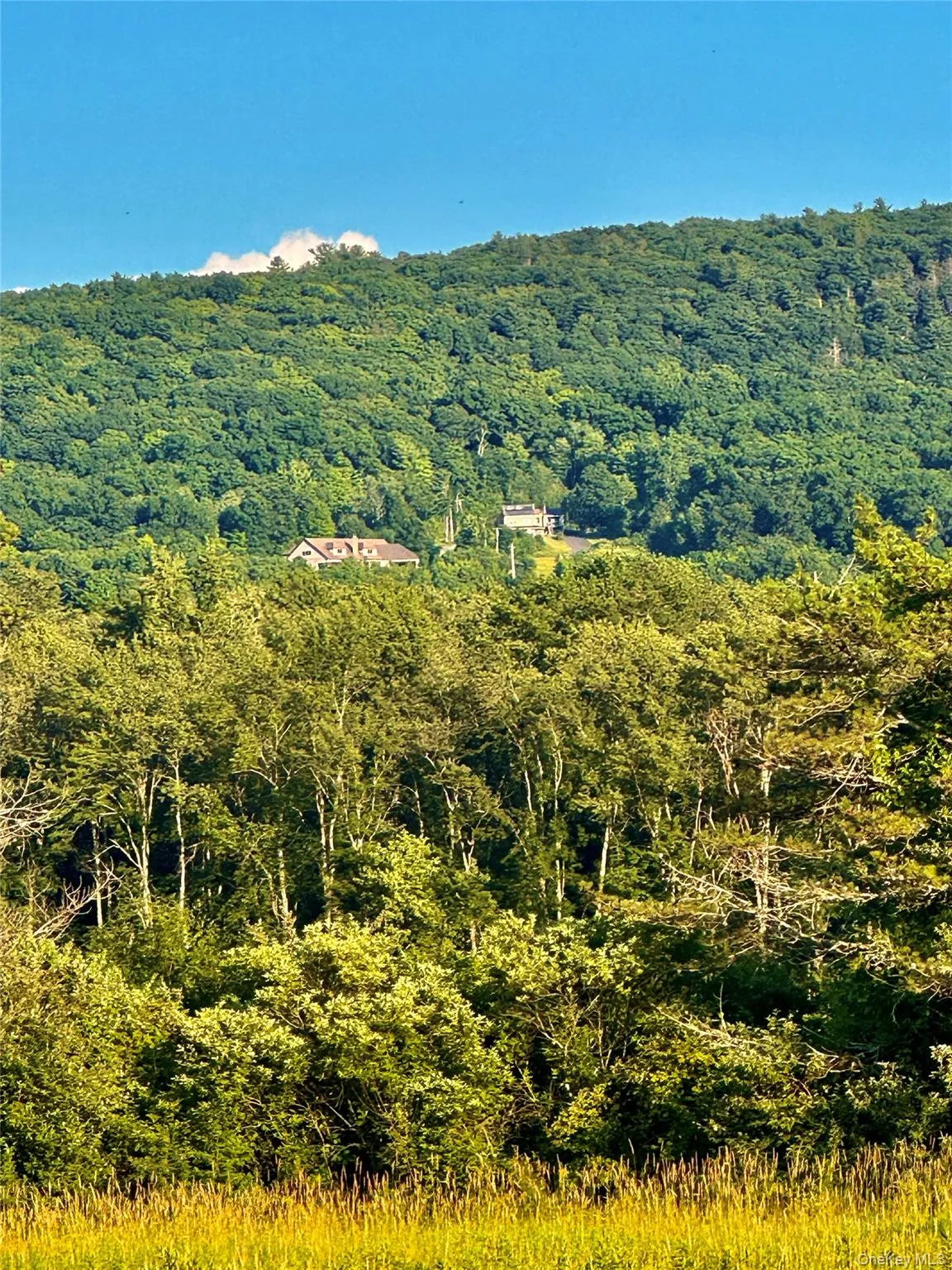 Unparalleled PRIVACY surrounded by thousands of acres of undeveloped land! The estate property looking up from the Wickham Lake below! The Appalachian Trail runs along the upper ridge at the back of the property. Unparalleled PRIVACY surrounded by thousands of acres of undeveloped land! The estate property looking up from the Wickham Lake below! The Appalachian Trail runs along the upper ridge at the back of the property.