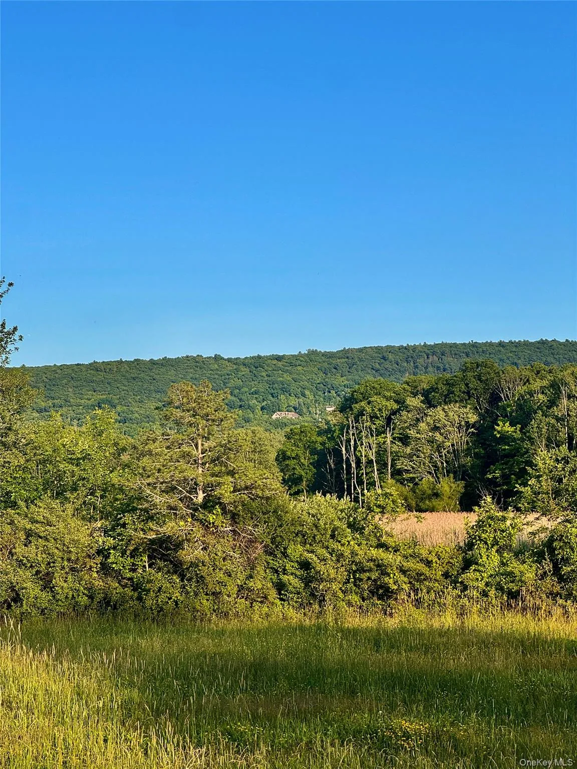Soak in breathtaking sunsets each evening from this private mountain-top estate! Soak in breathtaking sunsets each evening from this private mountain-top estate!