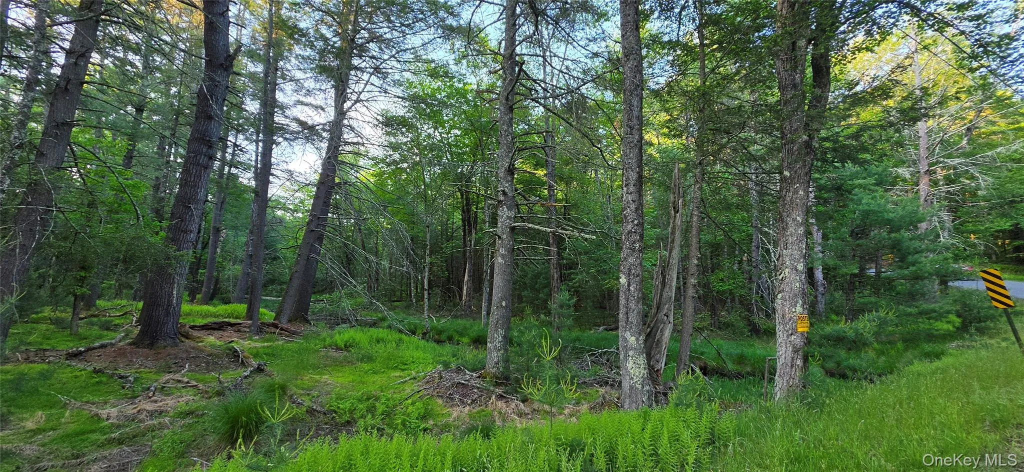 Lot 3.3 Old Tacy Road, Bethel, NY, ,Land,For Rent,Old Tacy,0,1017801 Lot 3.3 Old Tacy Road, Bethel, NY, ,Land,For Rent,Old Tacy,0,1017801