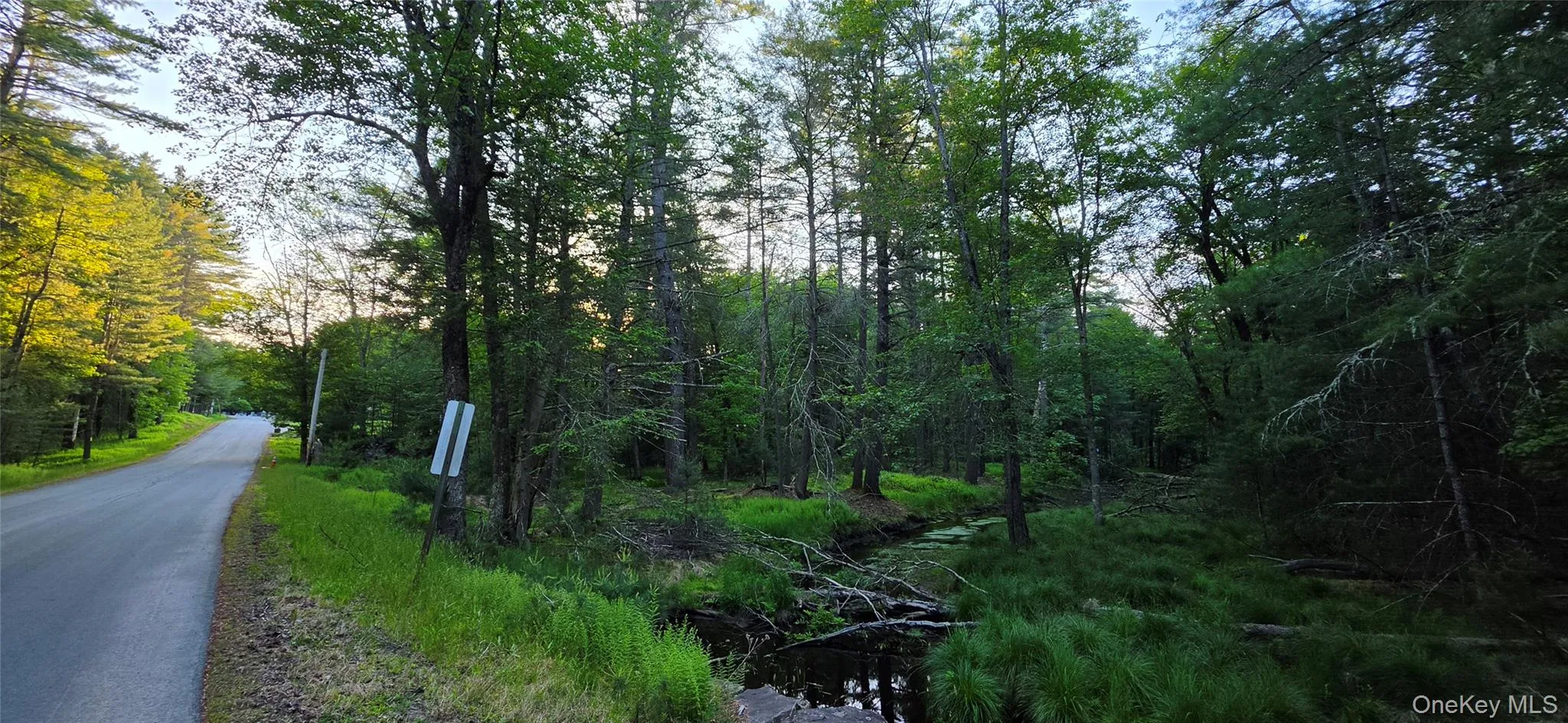 Lot 3.3 Old Tacy Road, Bethel, NY, ,Land,For Rent,Old Tacy,0,1017801 Lot 3.3 Old Tacy Road, Bethel, NY, ,Land,For Rent,Old Tacy,0,1017801