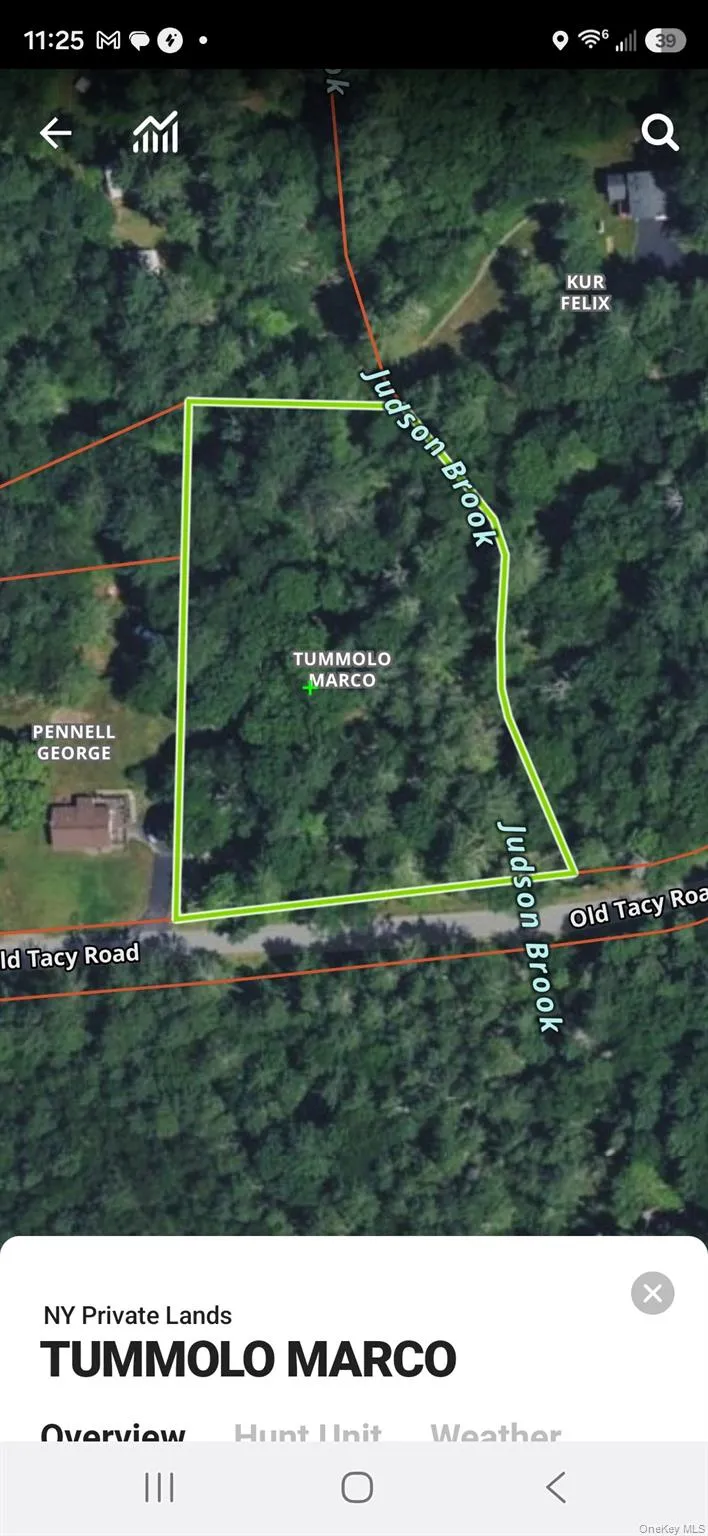 Lot 3.3 Old Tacy Road, Bethel, NY, ,Land,For Rent,Old Tacy,0,1017801 Lot 3.3 Old Tacy Road, Bethel, NY, ,Land,For Rent,Old Tacy,0,1017801