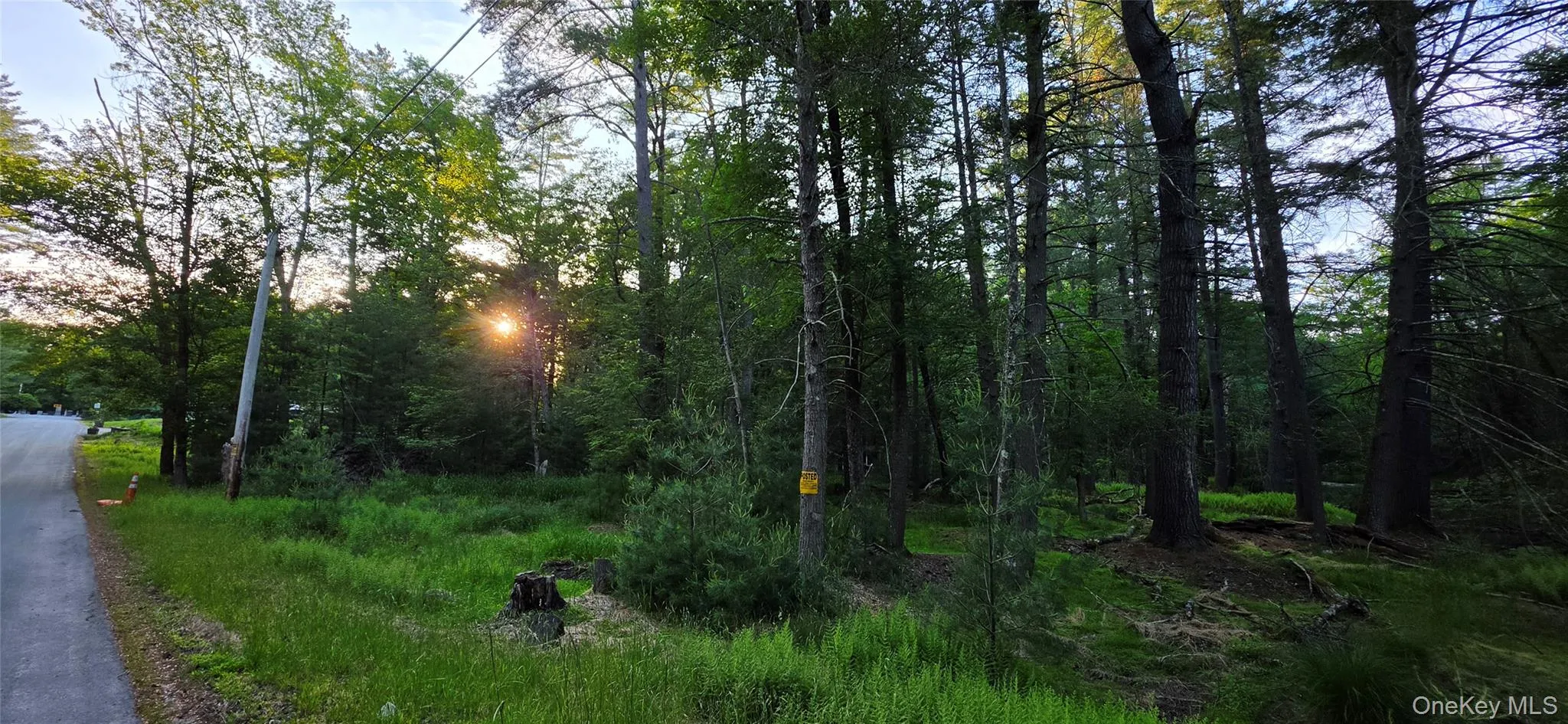 Lot 3.3 Old Tacy Road, Bethel, NY, ,Land,For Rent,Old Tacy,0,1017801 Lot 3.3 Old Tacy Road, Bethel, NY, ,Land,For Rent,Old Tacy,0,1017801