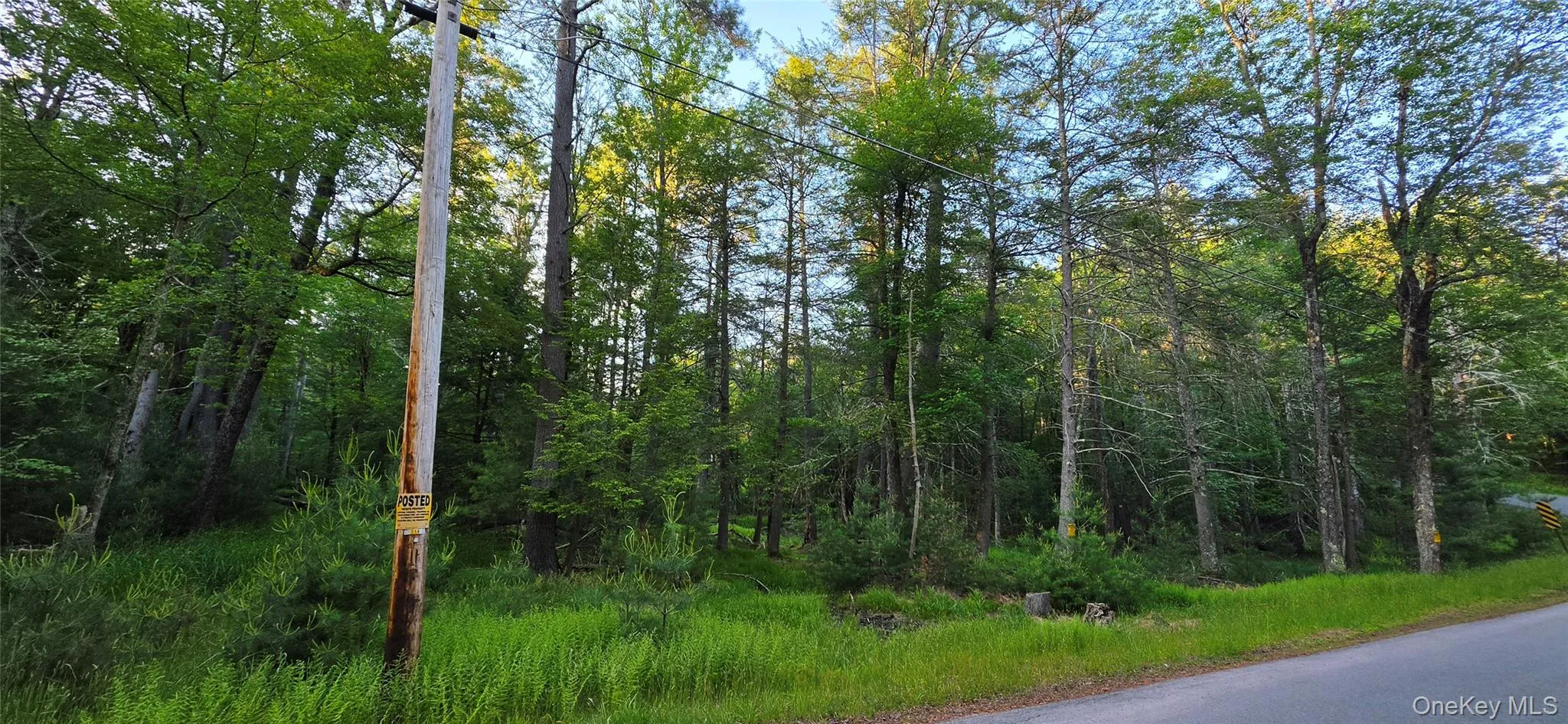 Lot 3.3 Old Tacy Road, Bethel, NY, ,Land,For Rent,Old Tacy,0,1017801 Lot 3.3 Old Tacy Road, Bethel, NY, ,Land,For Rent,Old Tacy,0,1017801