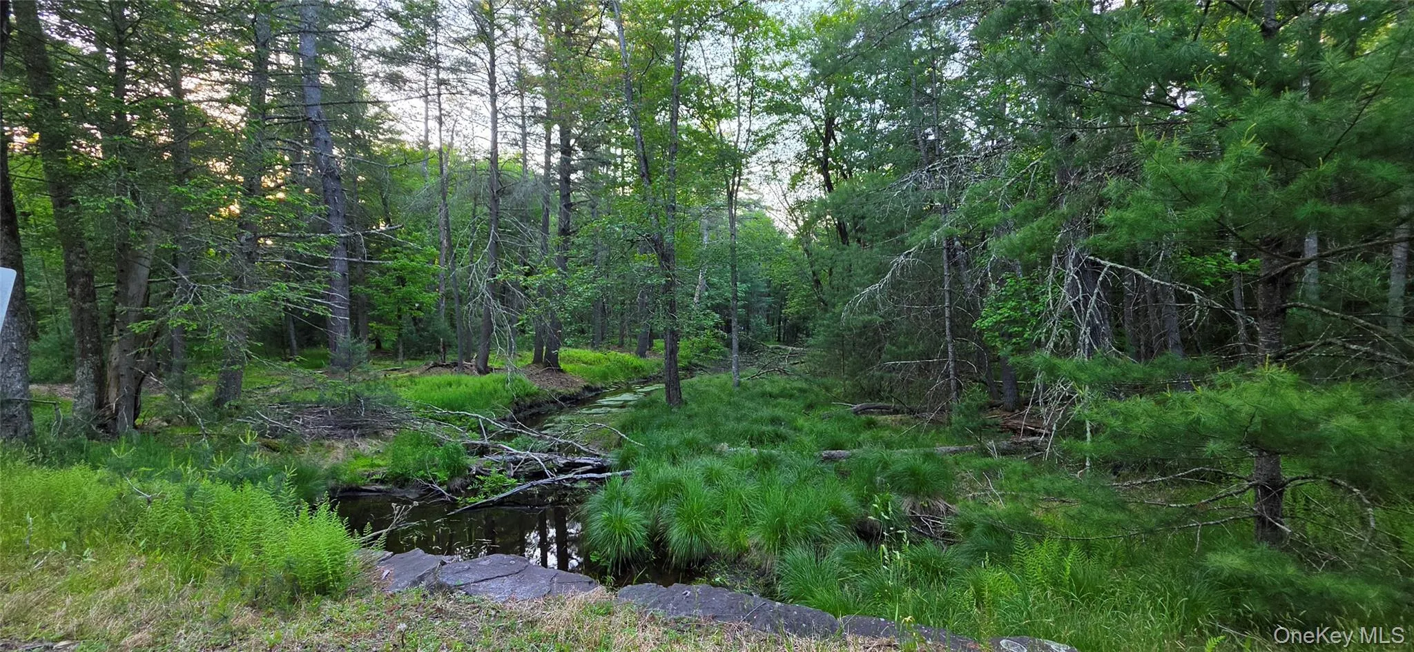 Lot 3.3 Old Tacy Road, Bethel, NY, ,Land,For Rent,Old Tacy,0,1017801 Lot 3.3 Old Tacy Road, Bethel, NY, ,Land,For Rent,Old Tacy,0,1017801