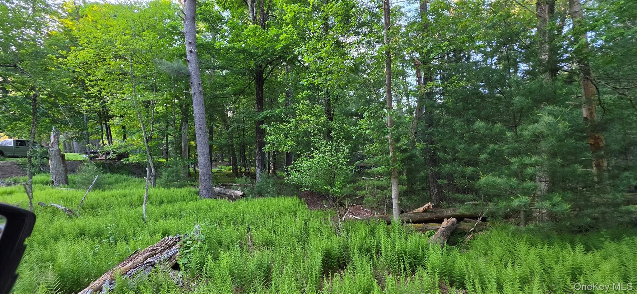 Lot 3.3 Old Tacy Road, Bethel, NY, ,Land,For Rent,Old Tacy,0,1017801 Lot 3.3 Old Tacy Road, Bethel, NY, ,Land,For Rent,Old Tacy,0,1017801