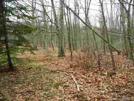 618 Bean River Road, Pine Plains, NY, 2 Bedrooms Bedrooms, 3 Rooms Rooms,1 BathroomBathrooms,Residential,For Rent,Bean River,0,KEY1017861 618 Bean River Road, Pine Plains, NY, 2 Bedrooms Bedrooms, 3 Rooms Rooms,1 BathroomBathrooms,Residential,For Rent,Bean River,0,KEY1017861