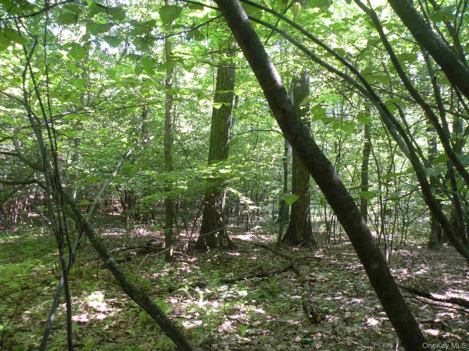 618 Bean River Road, Pine Plains, NY, 2 Bedrooms Bedrooms, 3 Rooms Rooms,1 BathroomBathrooms,Residential,For Rent,Bean River,0,KEY1017861 618 Bean River Road, Pine Plains, NY, 2 Bedrooms Bedrooms, 3 Rooms Rooms,1 BathroomBathrooms,Residential,For Rent,Bean River,0,KEY1017861