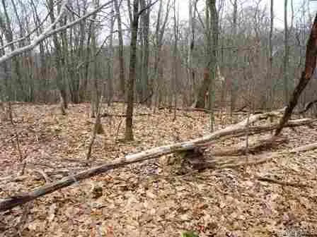 618 Bean River Road, Pine Plains, NY, 2 Bedrooms Bedrooms, 3 Rooms Rooms,1 BathroomBathrooms,Residential,For Rent,Bean River,0,KEY1017861 618 Bean River Road, Pine Plains, NY, 2 Bedrooms Bedrooms, 3 Rooms Rooms,1 BathroomBathrooms,Residential,For Rent,Bean River,0,KEY1017861