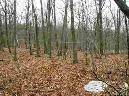 618 Bean River Road, Pine Plains, NY, 2 Bedrooms Bedrooms, 3 Rooms Rooms,1 BathroomBathrooms,Residential,For Rent,Bean River,0,KEY1017861 618 Bean River Road, Pine Plains, NY, 2 Bedrooms Bedrooms, 3 Rooms Rooms,1 BathroomBathrooms,Residential,For Rent,Bean River,0,KEY1017861