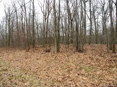 618 Bean River Road, Pine Plains, NY, 2 Bedrooms Bedrooms, 3 Rooms Rooms,1 BathroomBathrooms,Residential,For Rent,Bean River,0,KEY1017861 618 Bean River Road, Pine Plains, NY, 2 Bedrooms Bedrooms, 3 Rooms Rooms,1 BathroomBathrooms,Residential,For Rent,Bean River,0,KEY1017861