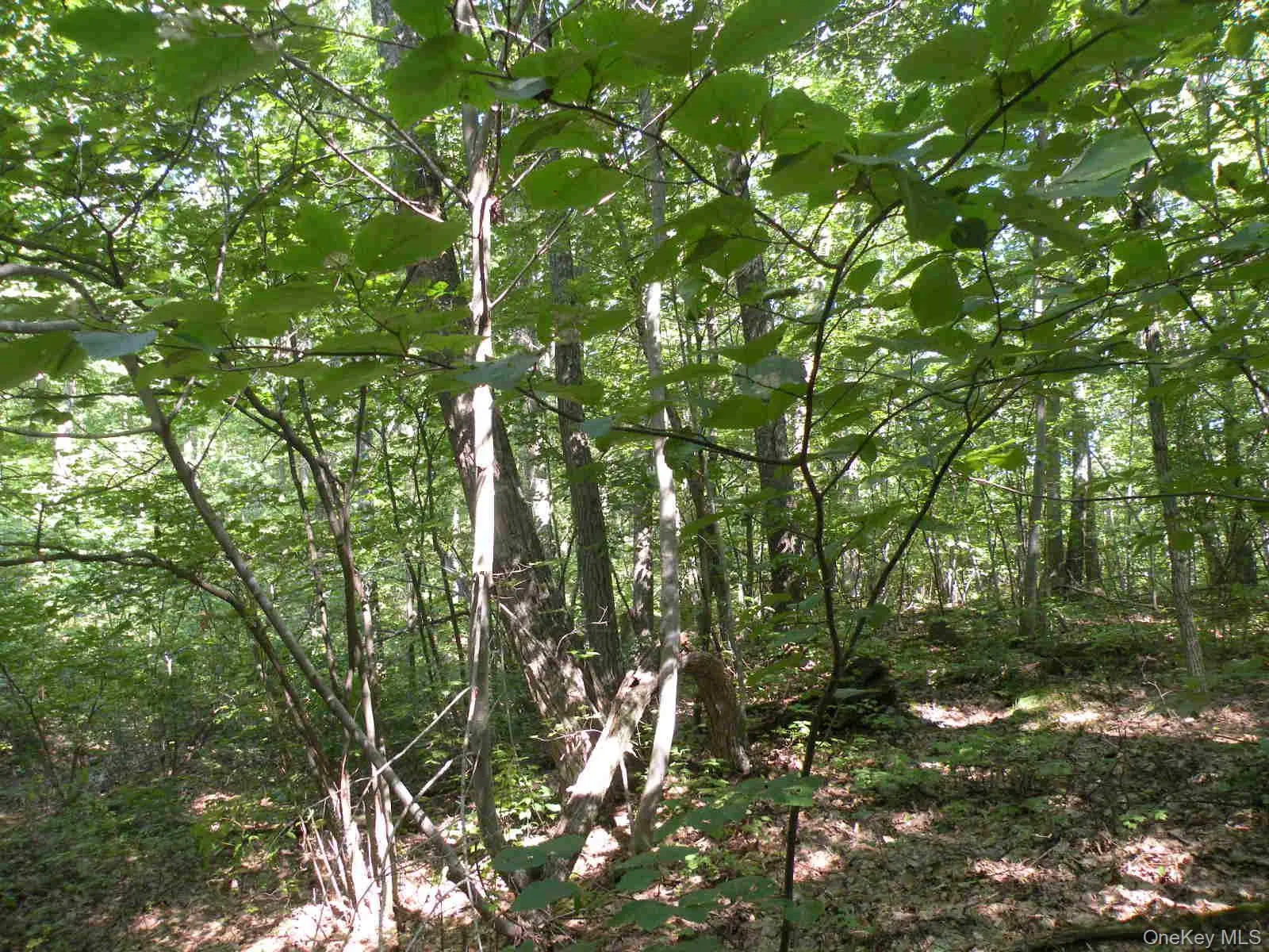 618 Bean River Road, Pine Plains, NY, 2 Bedrooms Bedrooms, 3 Rooms Rooms,1 BathroomBathrooms,Residential,For Rent,Bean River,0,KEY1017861 618 Bean River Road, Pine Plains, NY, 2 Bedrooms Bedrooms, 3 Rooms Rooms,1 BathroomBathrooms,Residential,For Rent,Bean River,0,KEY1017861